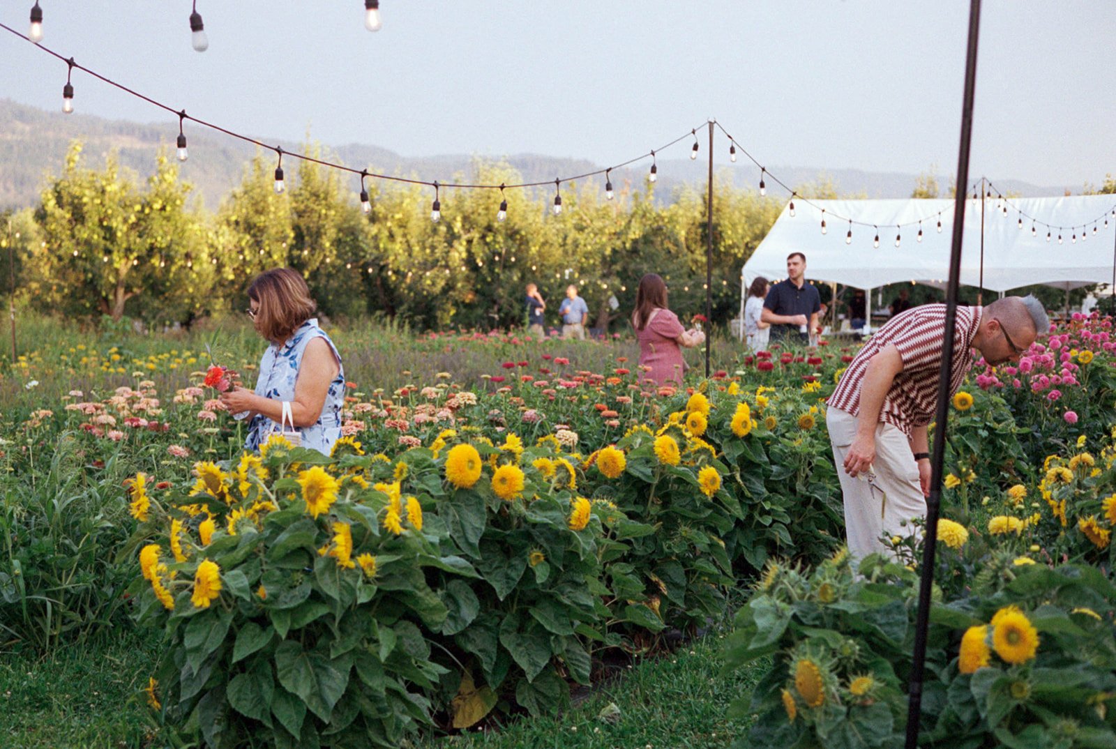 2026-ace-photography-crag-rat-hut-hood-river-wedding-rehearsal-dinner-film-94.jpg