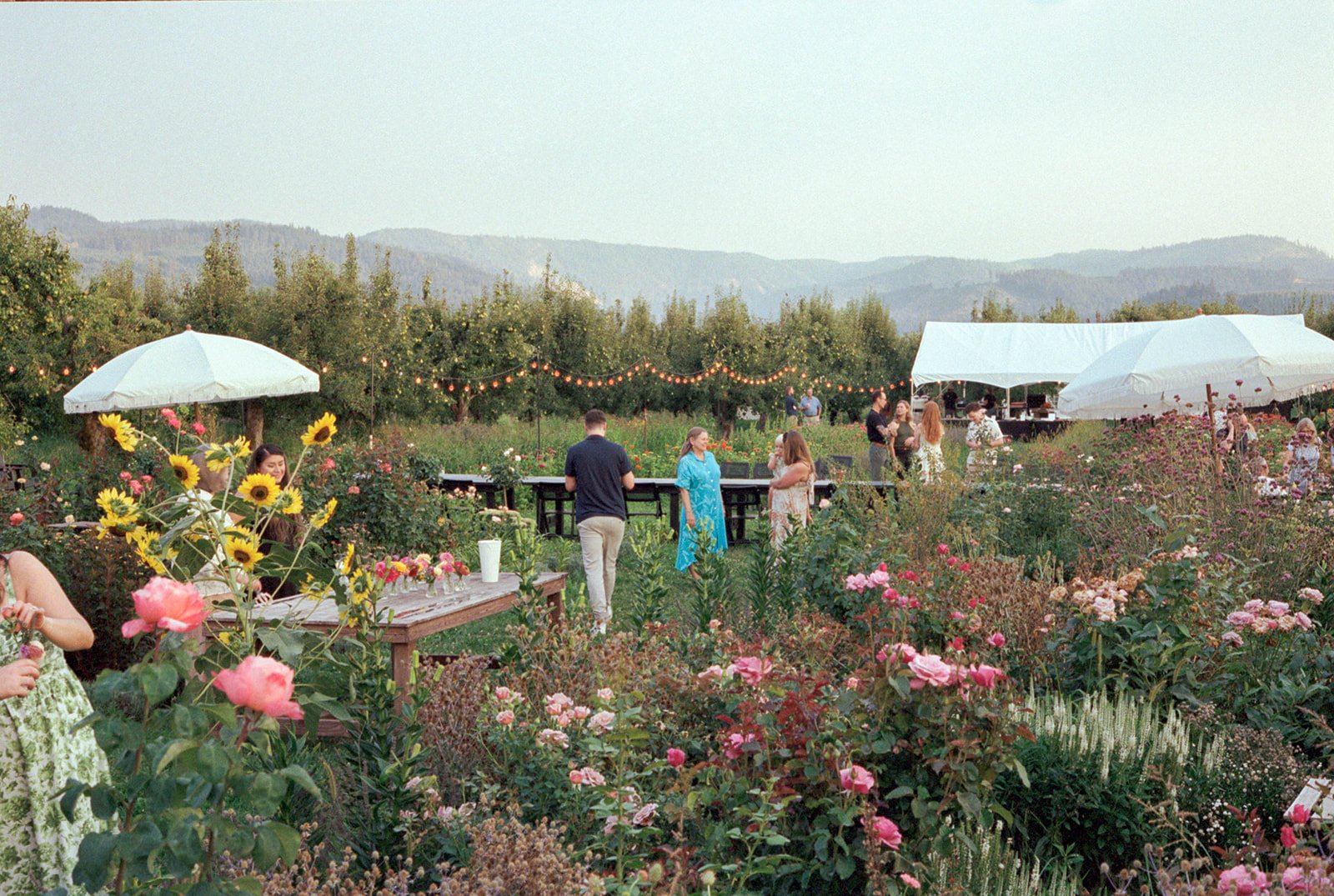 2026-ace-photography-crag-rat-hut-hood-river-wedding-rehearsal-dinner-film-102.jpg