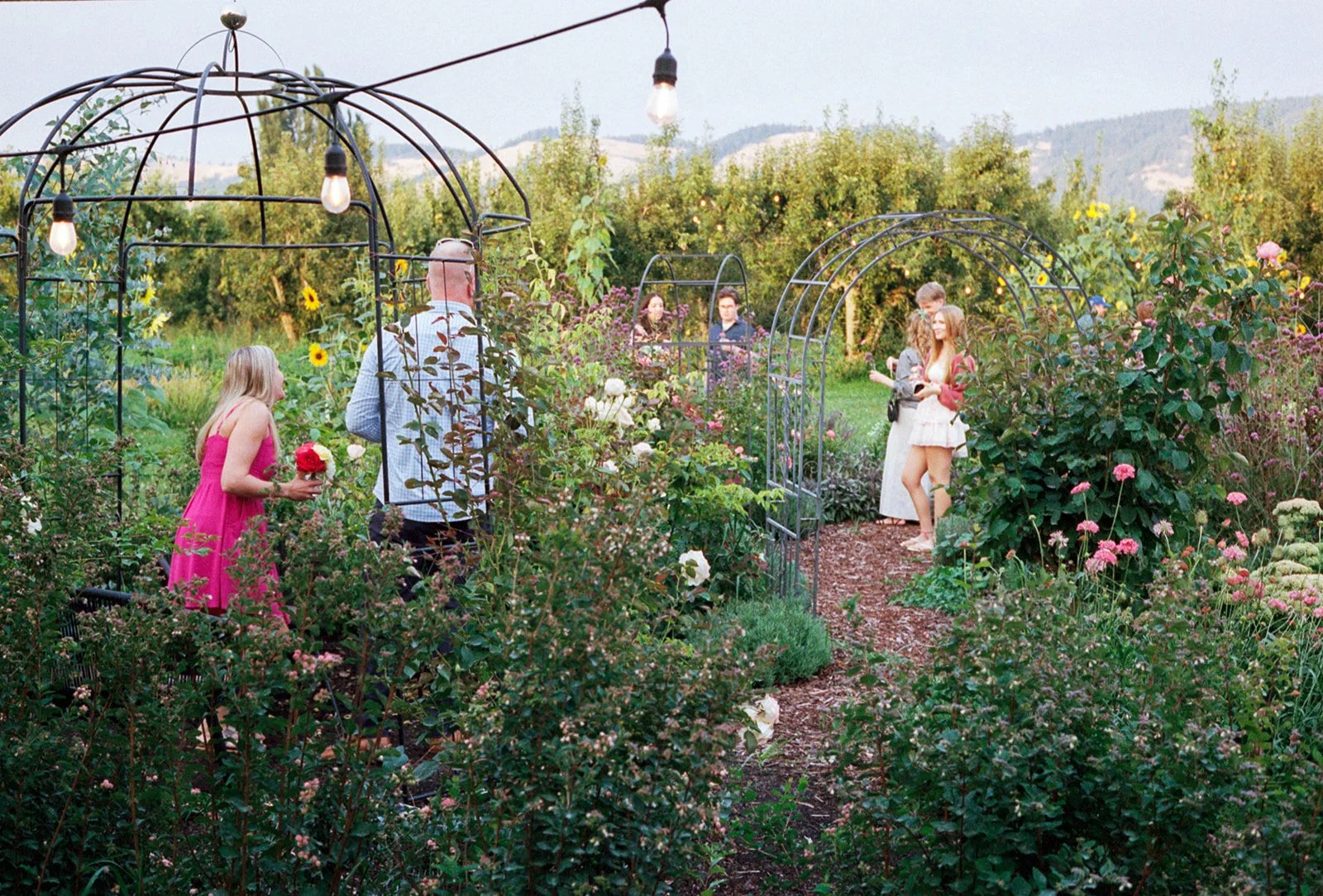 2026-ace-photography-crag-rat-hut-hood-river-wedding-rehearsal-dinner-film-105.jpg