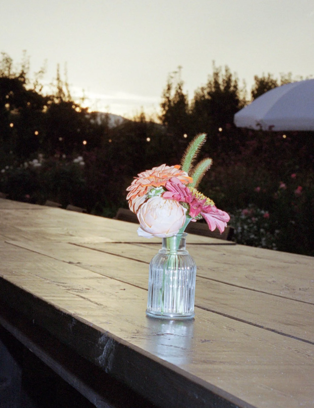 2026-ace-photography-crag-rat-hut-hood-river-wedding-rehearsal-dinner-film-110.jpg