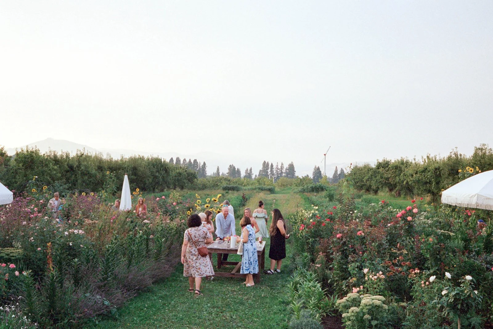 2026-ace-photography-crag-rat-hut-hood-river-wedding-rehearsal-dinner-film-111.jpg