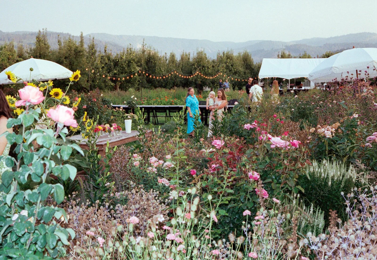 2026-ace-photography-crag-rat-hut-hood-river-wedding-rehearsal-dinner-film-119.jpg