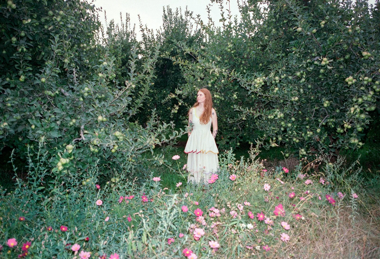 2026-ace-photography-crag-rat-hut-hood-river-wedding-rehearsal-dinner-film-44.jpg