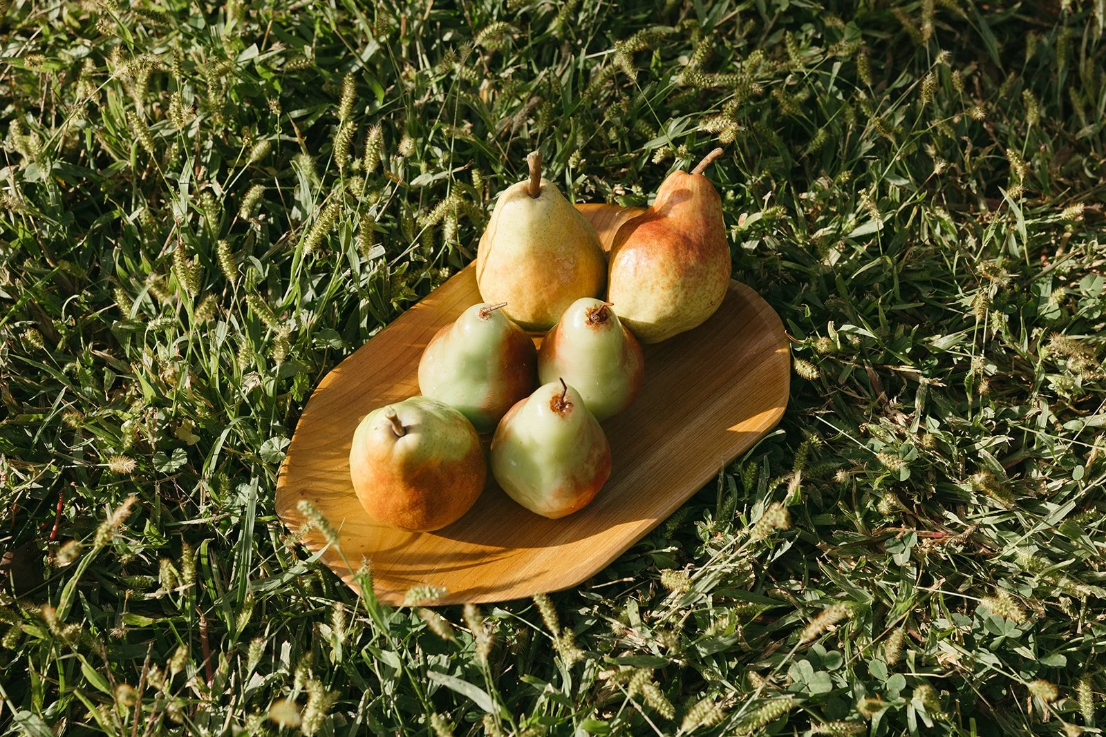 PB_8P8A2452.jpg