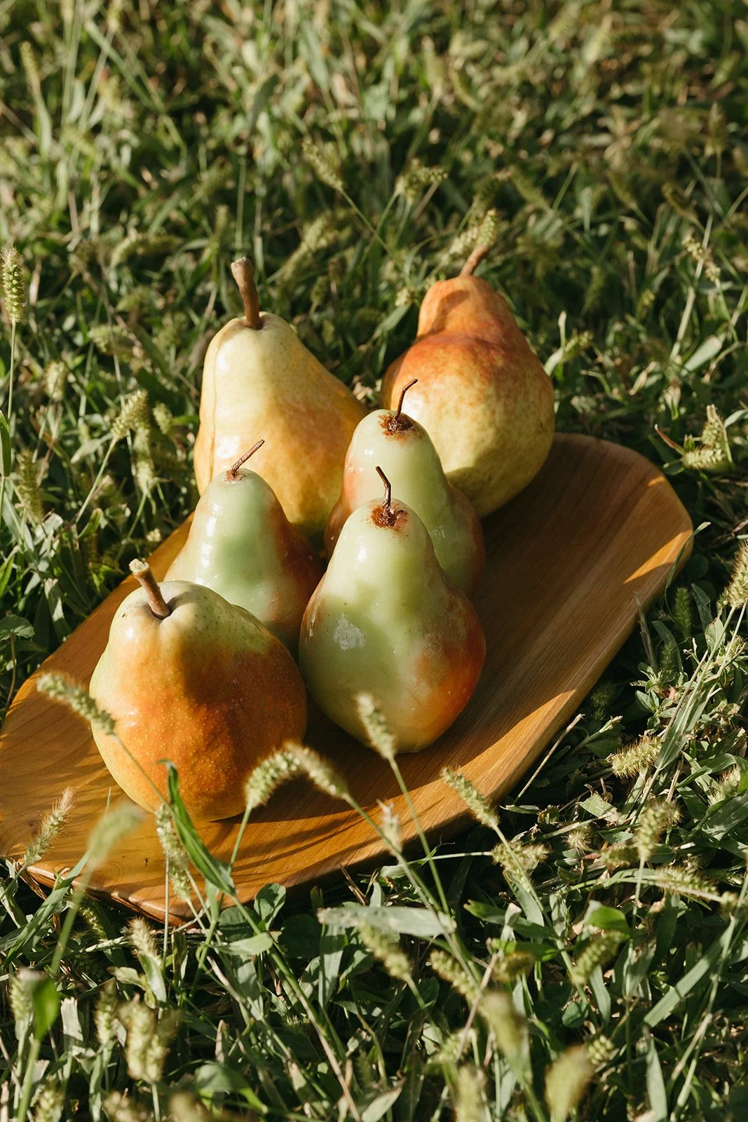 PB_8P8A2457.jpg