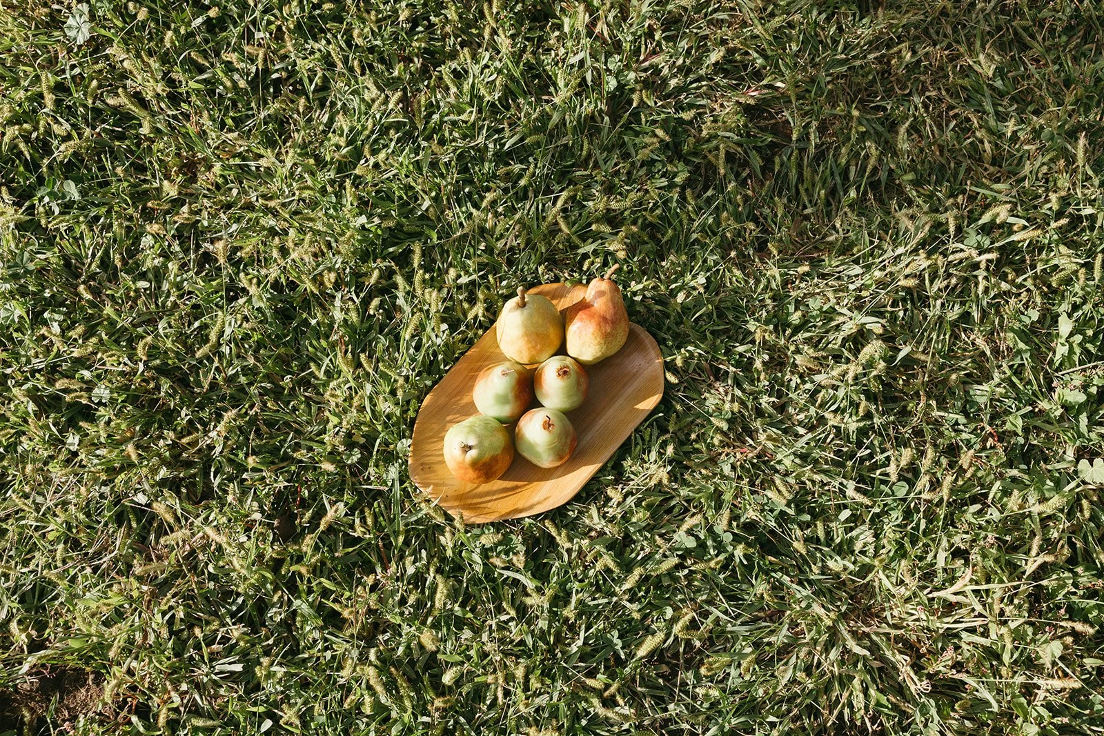 PB_8P8A2460.jpg