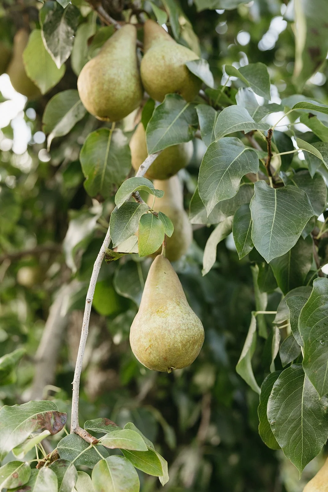 PB_8P8A2757.jpg