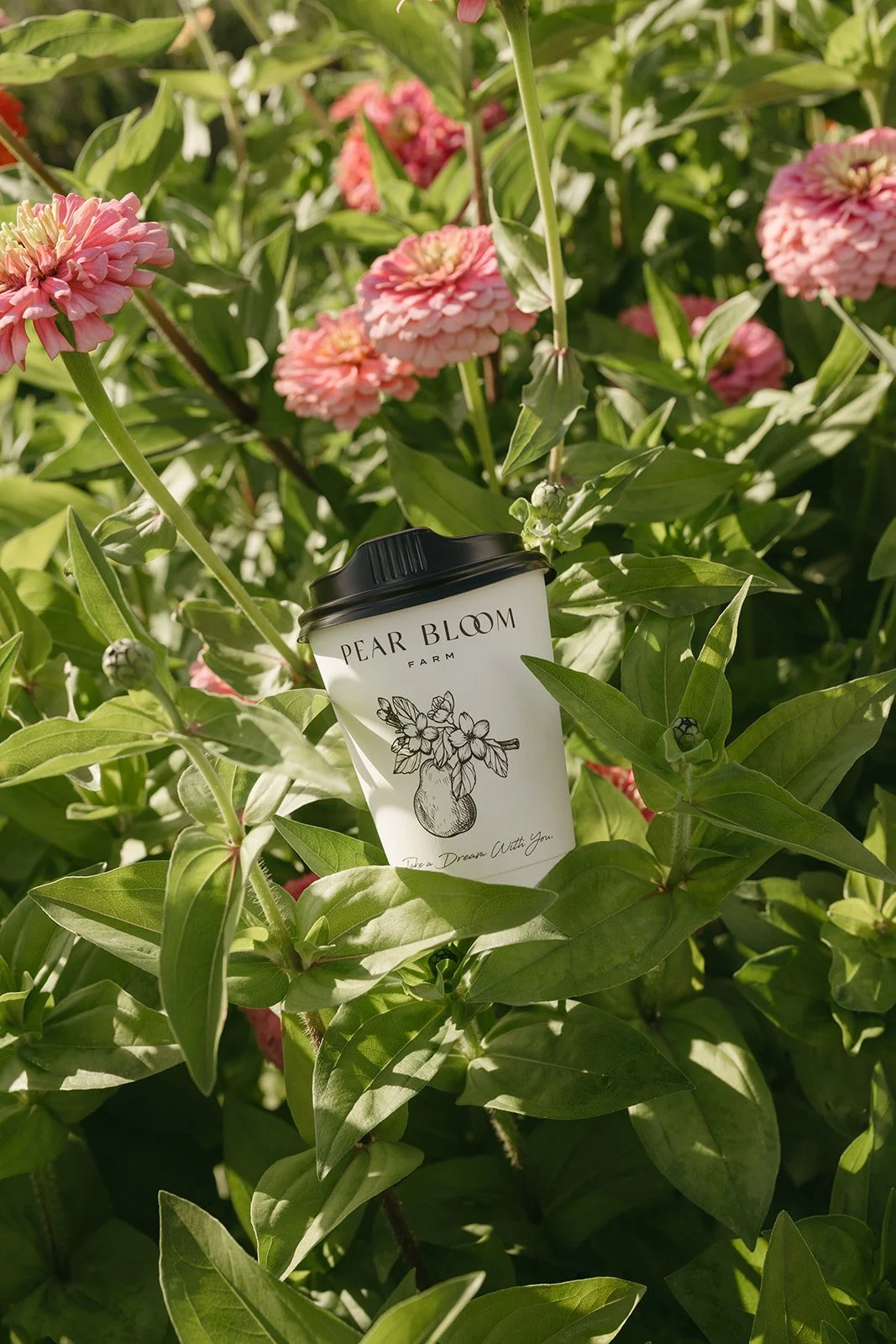 PB_8P8A2314.jpg