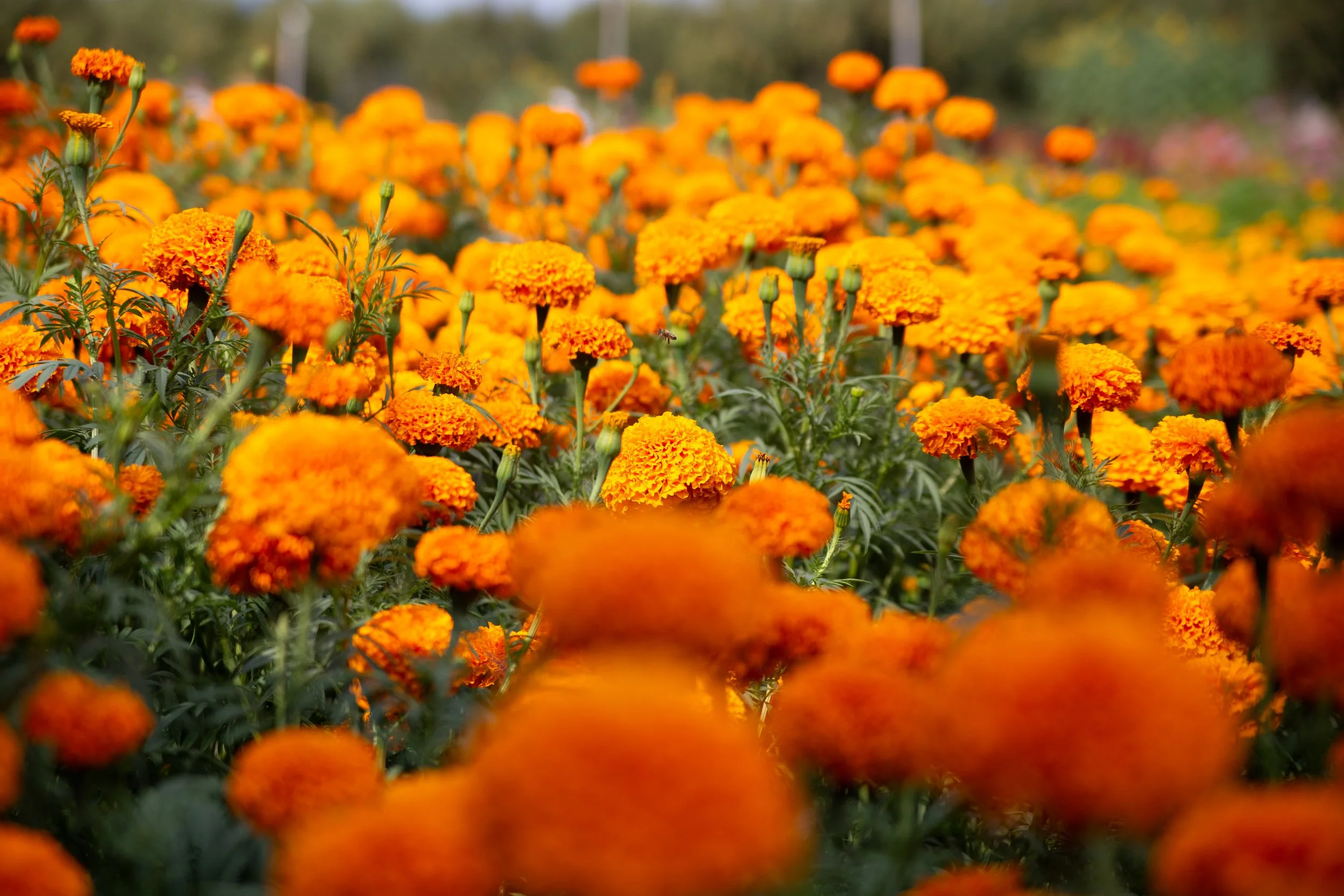 untitled-339.jpg