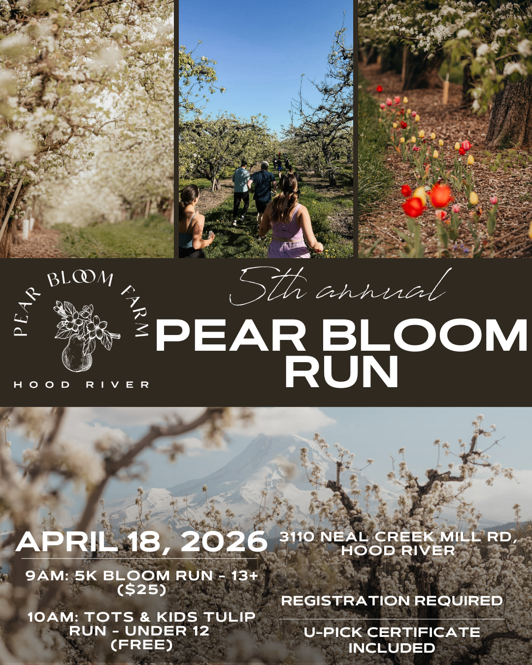 Tulip Tot Run Registration