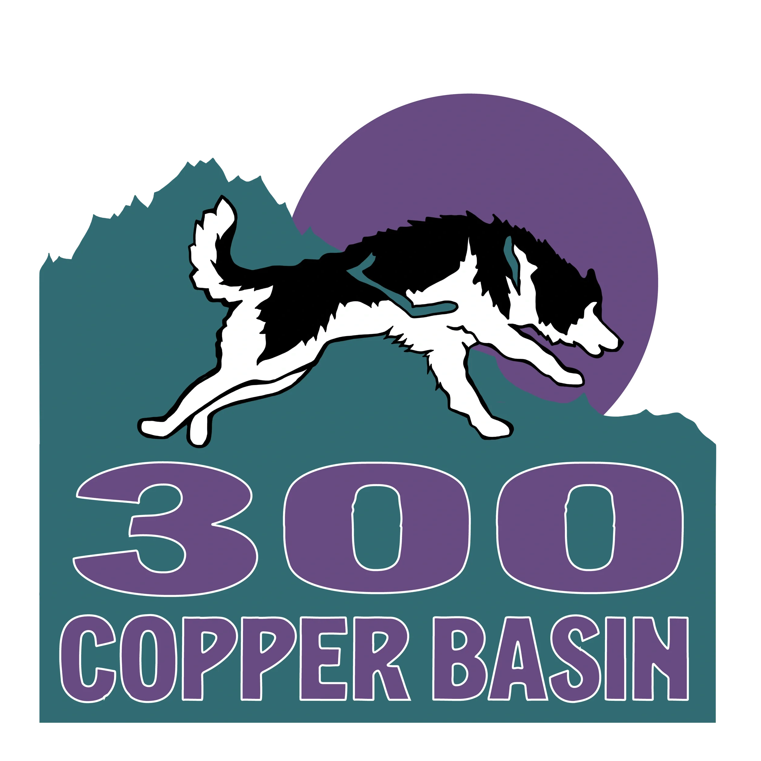 2027 CB300 Registration