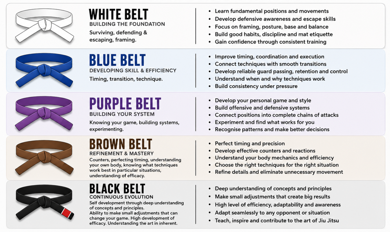 Infographic showing five colored belts for martial arts training, from top to bottom: White, Blue, Purple, Brown, and Black, with descriptions of each stage's focus and skills.