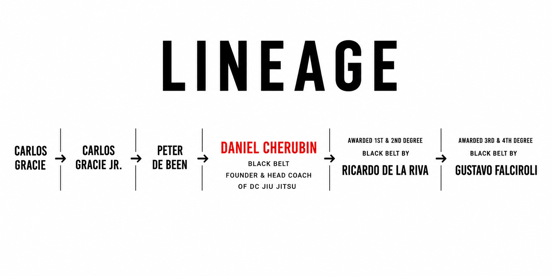 Lineage chart for a martial arts organization showing names and titles of key members: Carlos Gracie, Carlos Gracie Jr., Peter de Been, Daniel Cherubin, Ricardo De La Riva, Gustavo Falciroli.