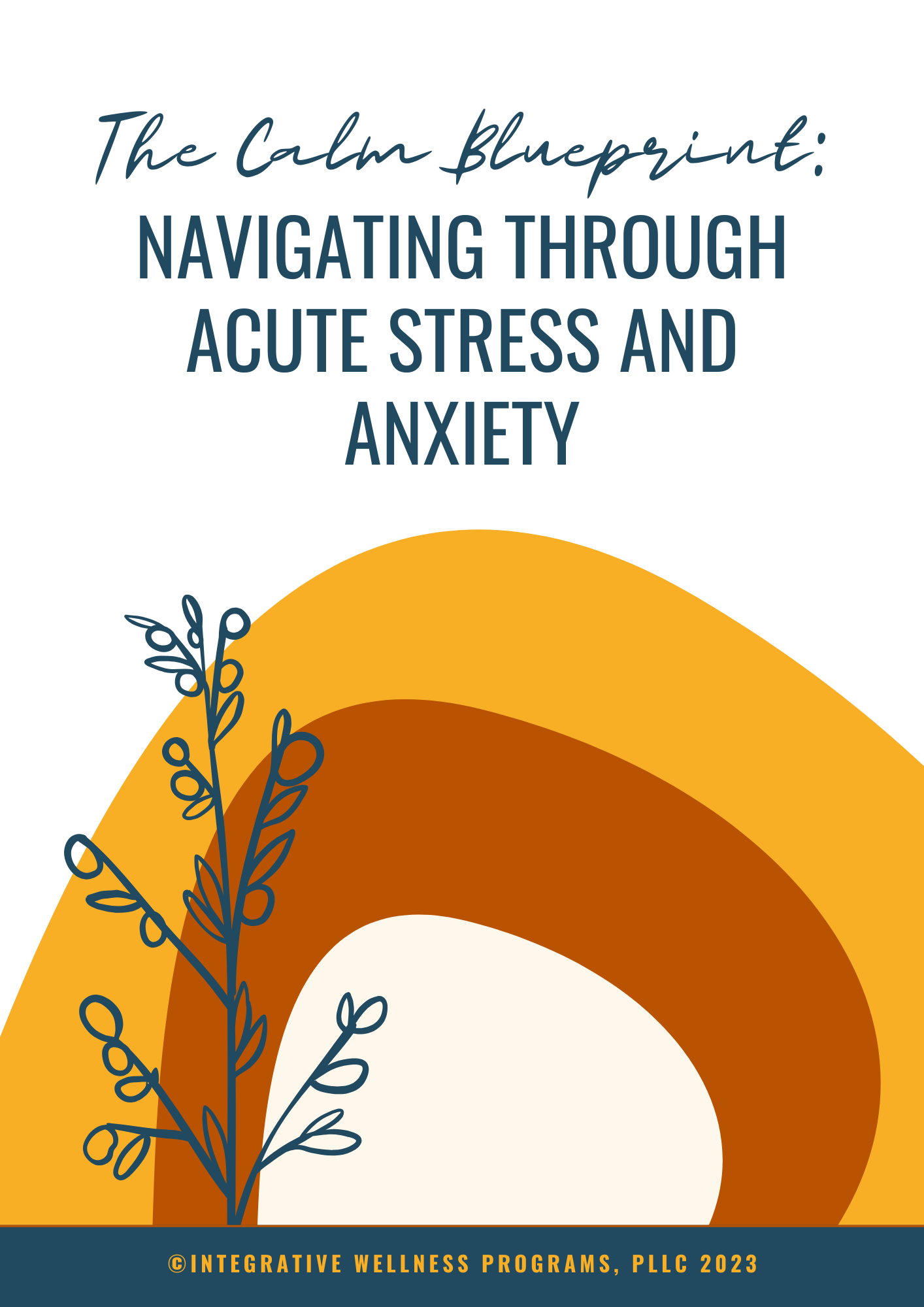 The Calm Blueprint: Tools for Stress, Anxiety, Calm & Resilience ...