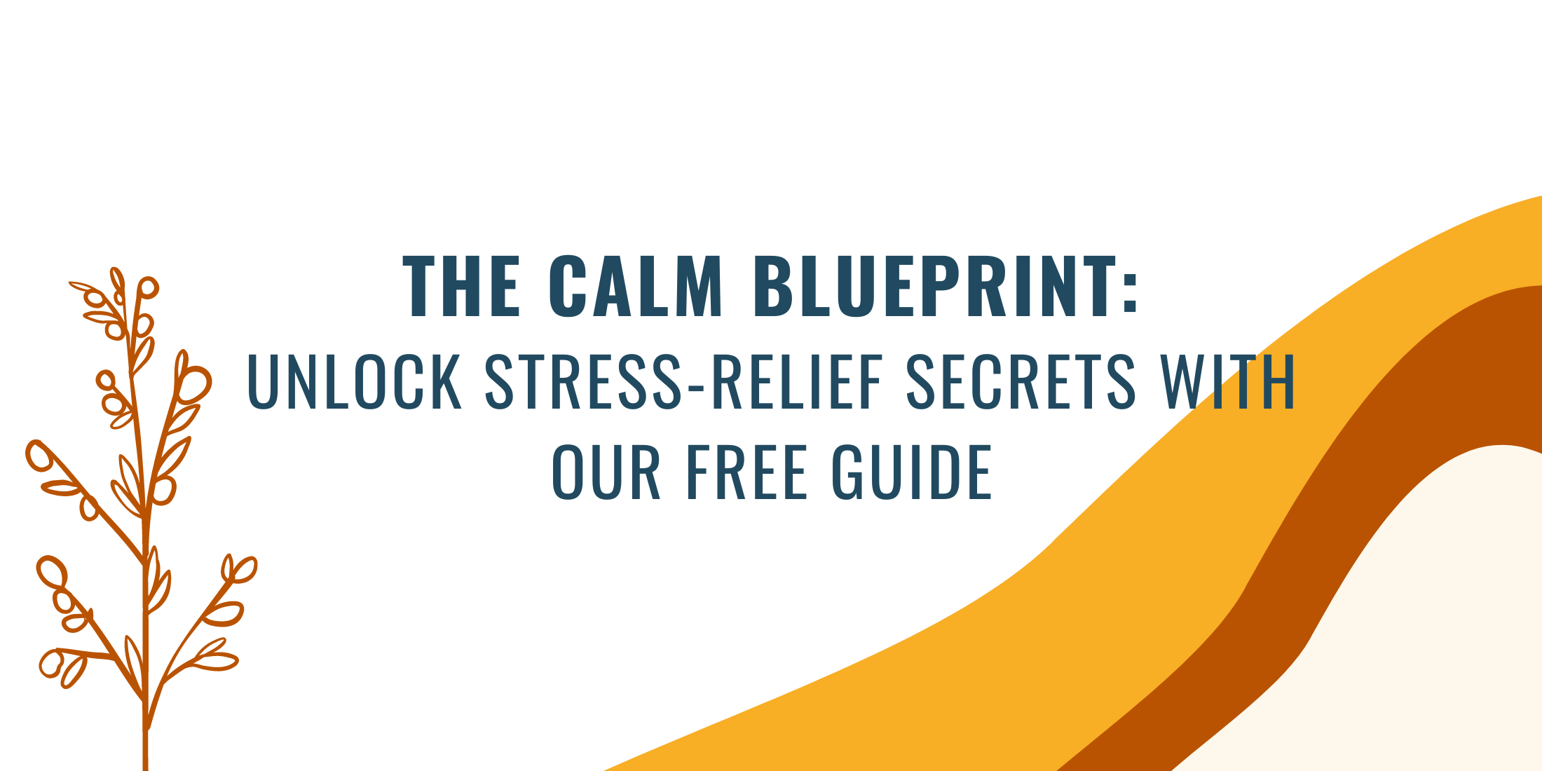 Finding Your Zen: Dive Deep into Stress Relief with The Calm Blueprint (Sign up below ↓)