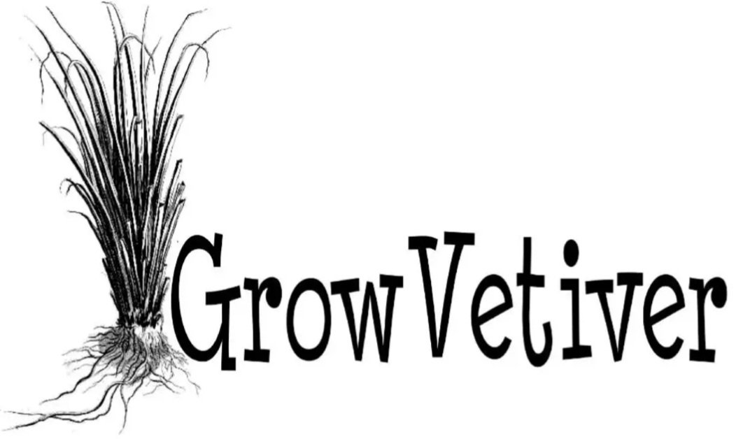 Grow Vetiver