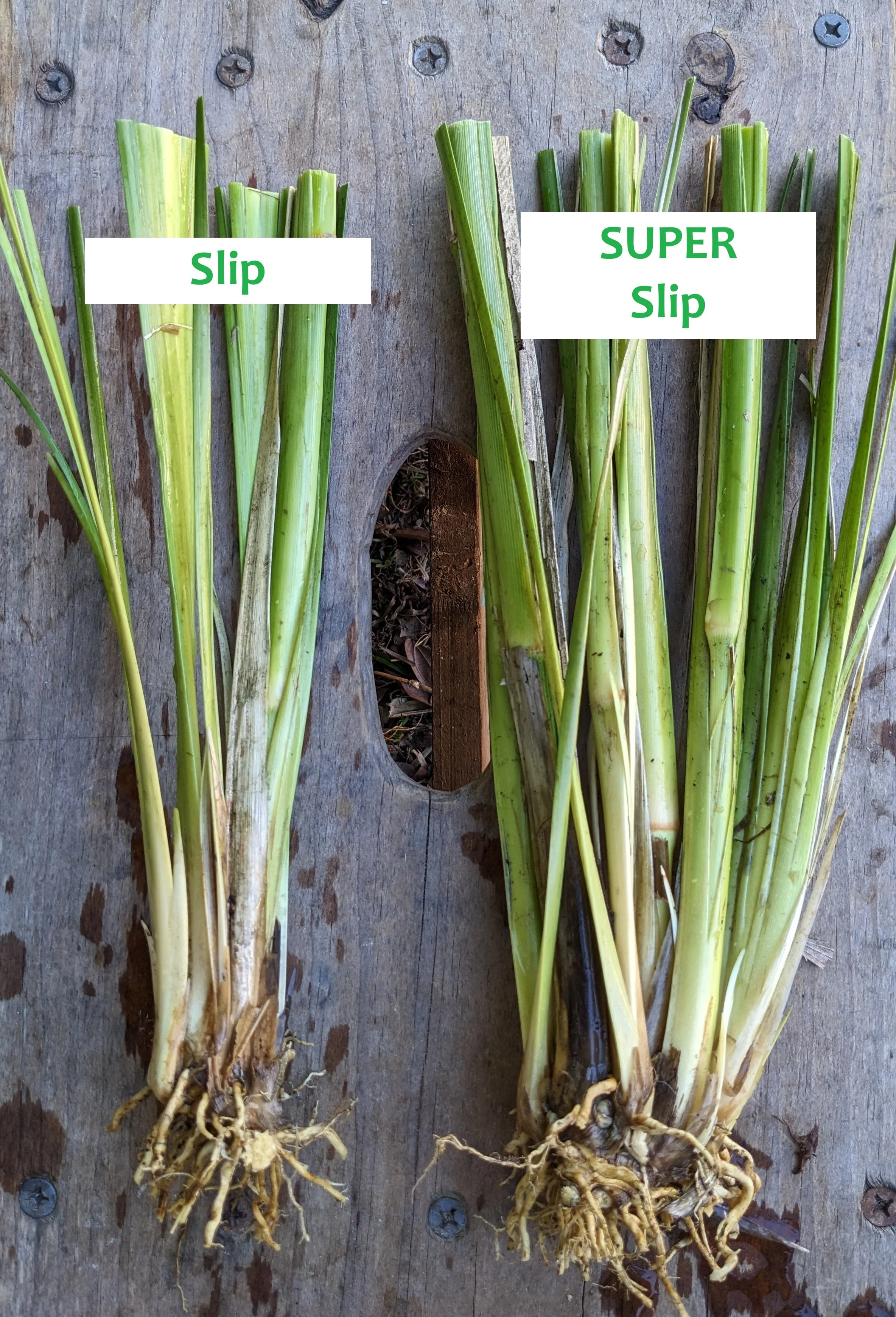 slip-vs-superslip_label.jpg