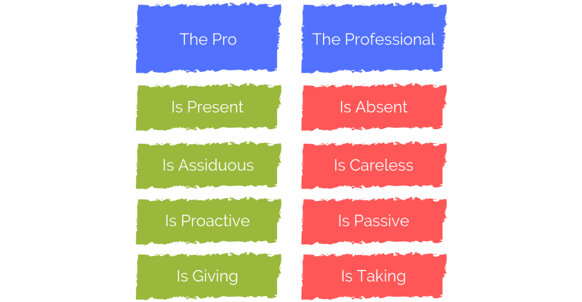 The Pro Vs The Professional Paul Farina The Pro Vs The Professional Paul Farina