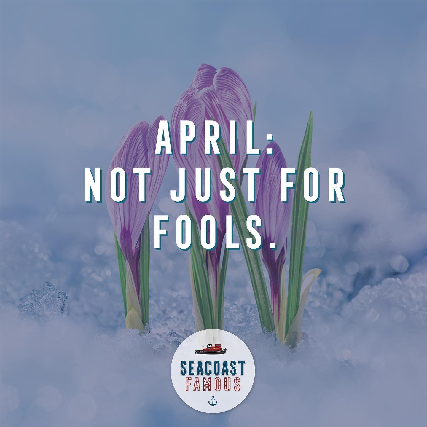 No joke, it&rsquo;s true! ☔️ April is not just for fools! ✨ 

Did you know that April is the most popular month to start a small business? 

All month long, we will be featuring brand new, local businesses that we are stoked to try out and support! ?