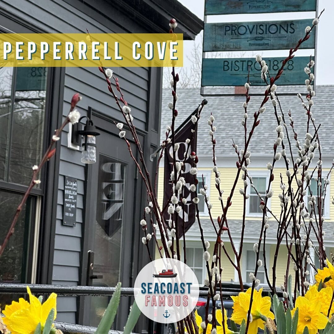 One spot, LOTS of options! 🛍️ 🦞 

Located in iconic Kittery Point, ME, Pepperrel Cove has something for everyone:

➡️The View Event Space 
➡️ Bistro 1828 
➡️ Provisions General Store 
➡️ Frisbee&rsquo;s Wharf Outdoor Lobster Shack
➡️ The Ski Club R