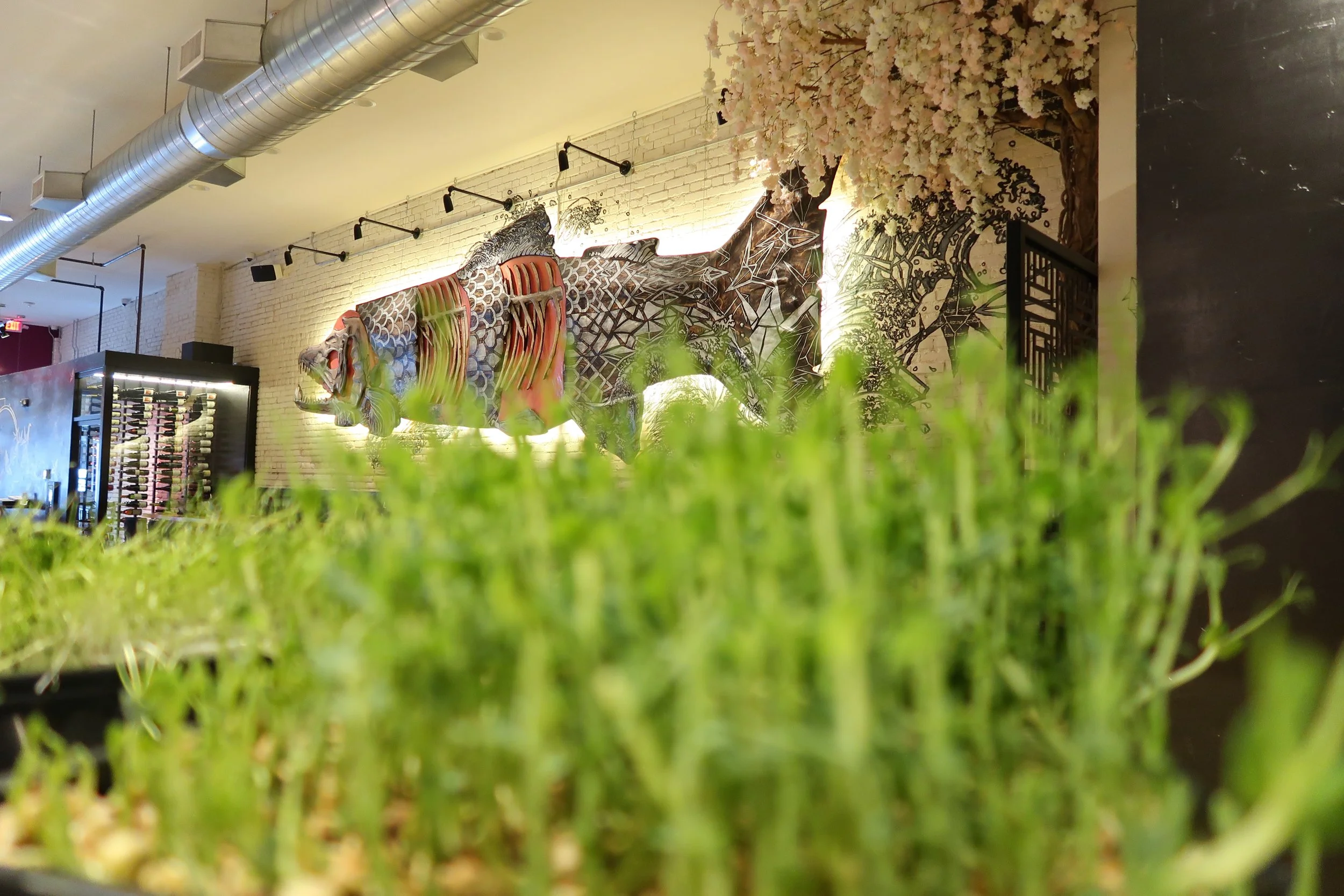 Indoor restaurant scene with a decorative fish wall mural, grass in the foreground, and a wine rack in the background.