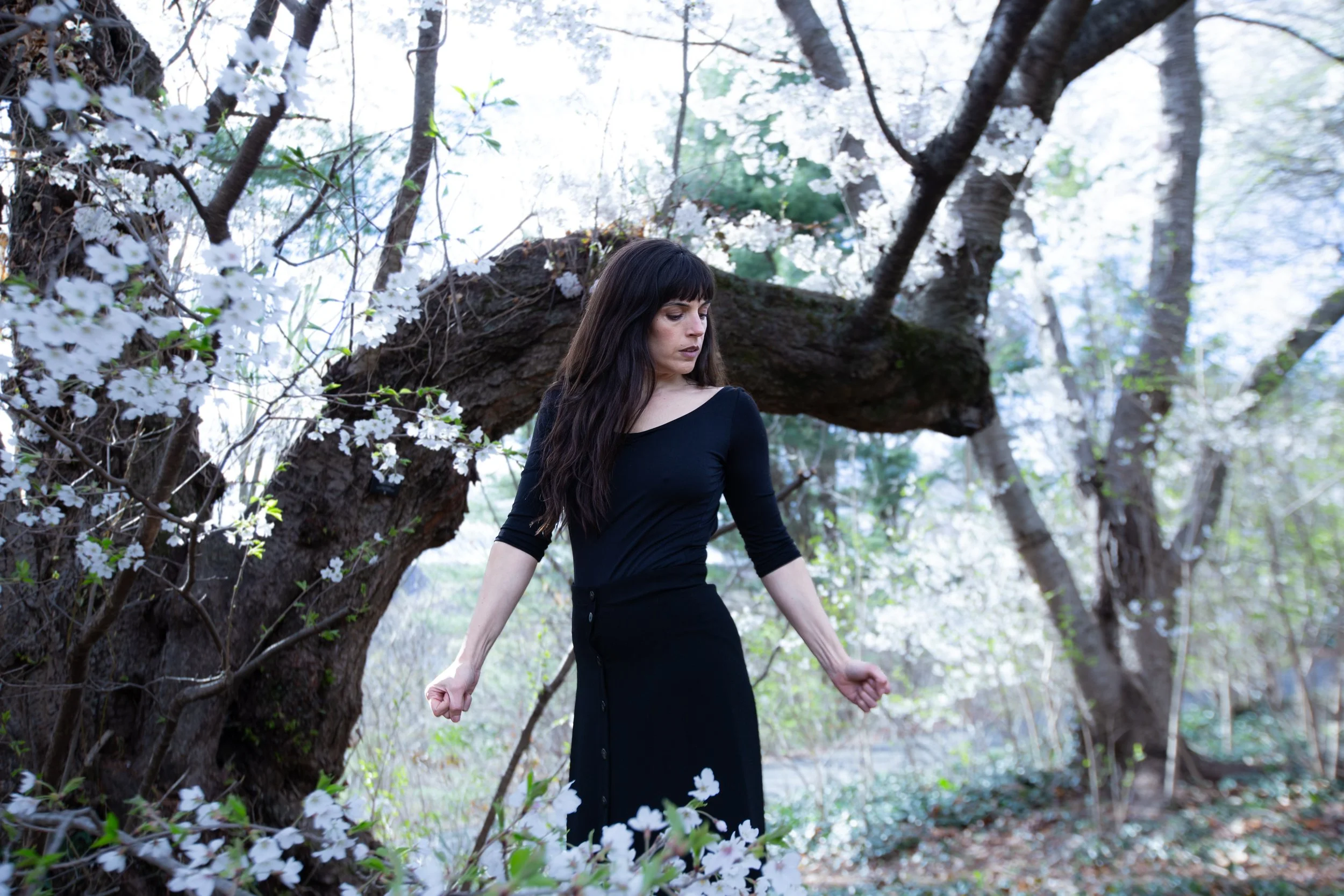 photo by Lisa Greenberg