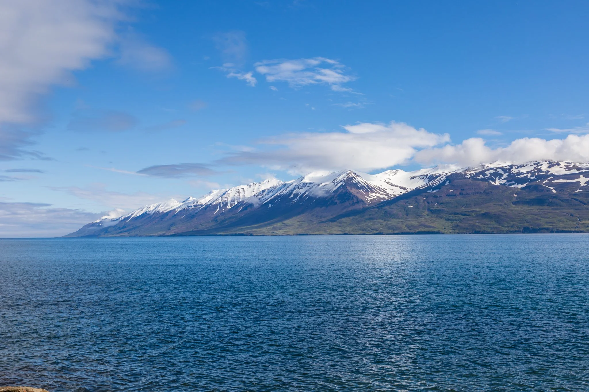 IMG_7901.jpg