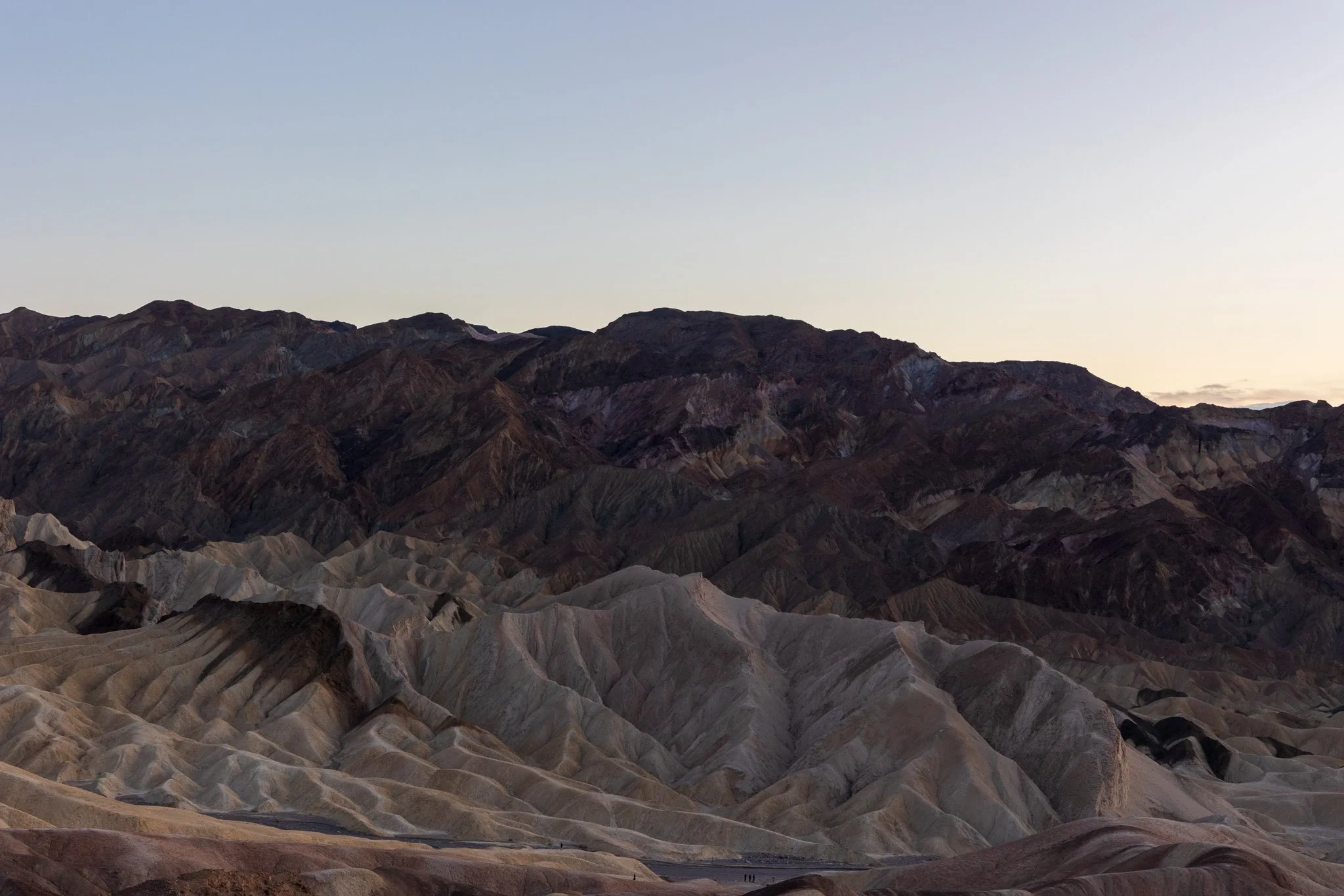 8Z6A4160.jpg