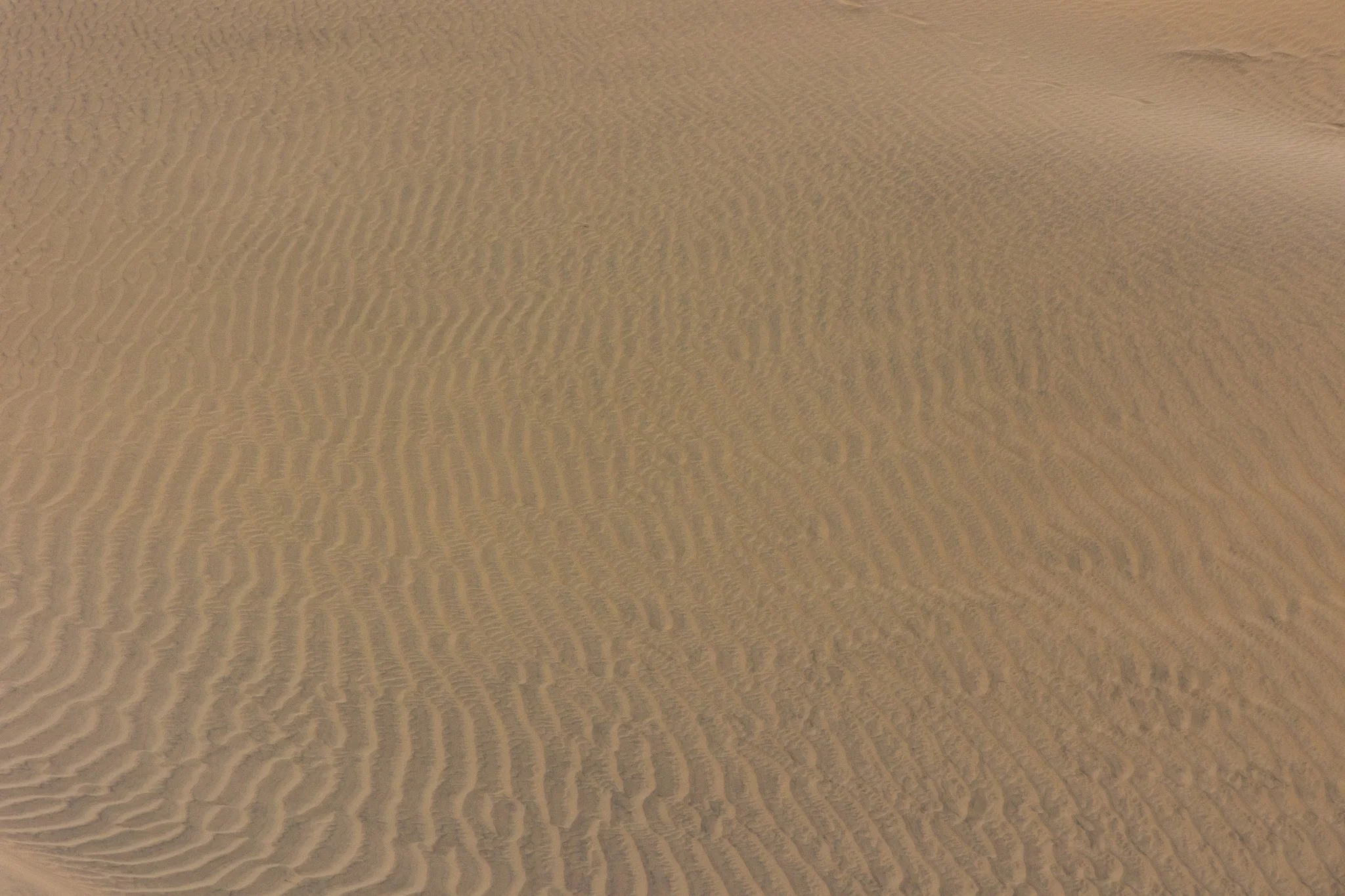 8Z6A4243.jpg