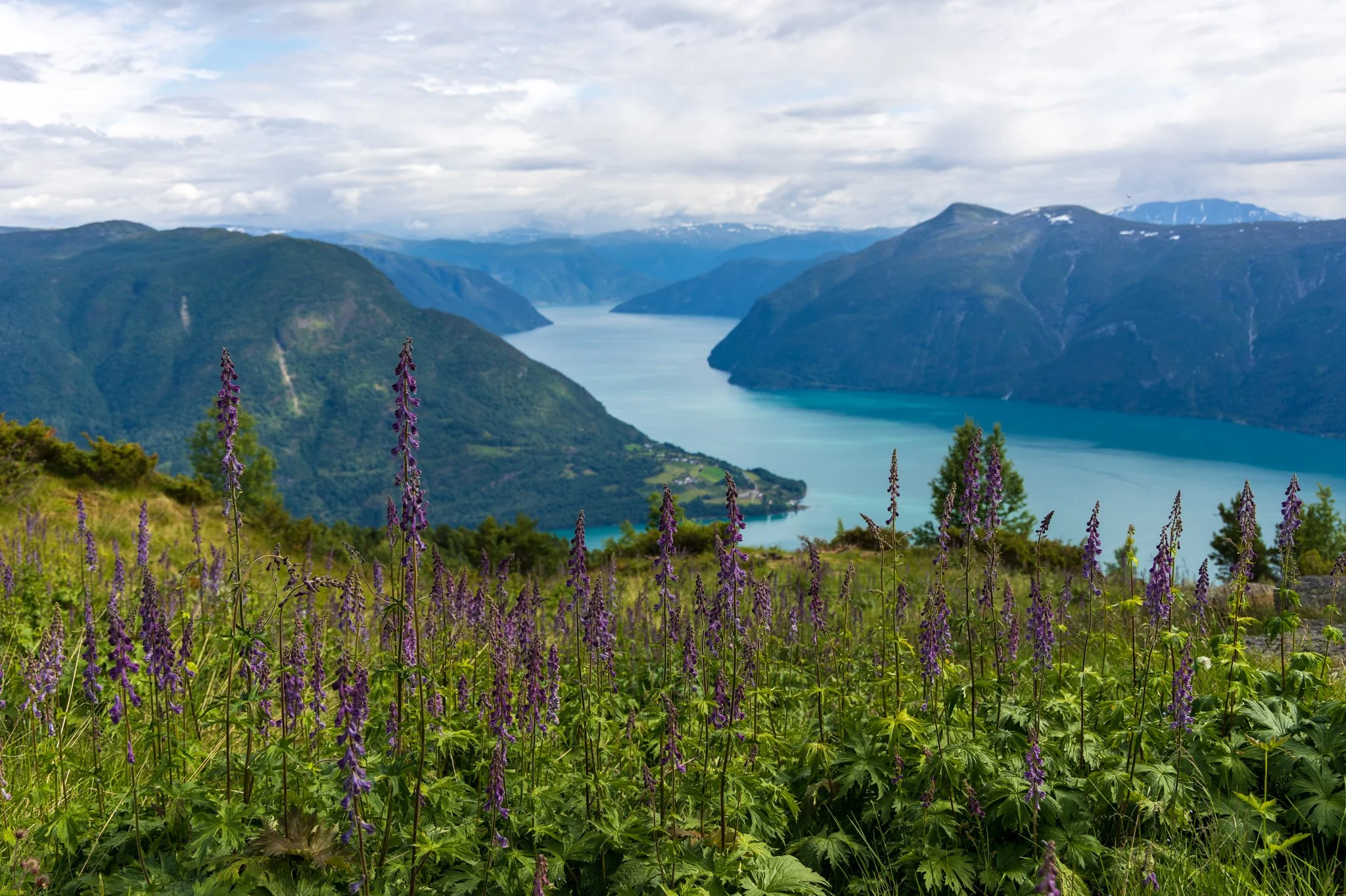 8Z6A2327.jpg