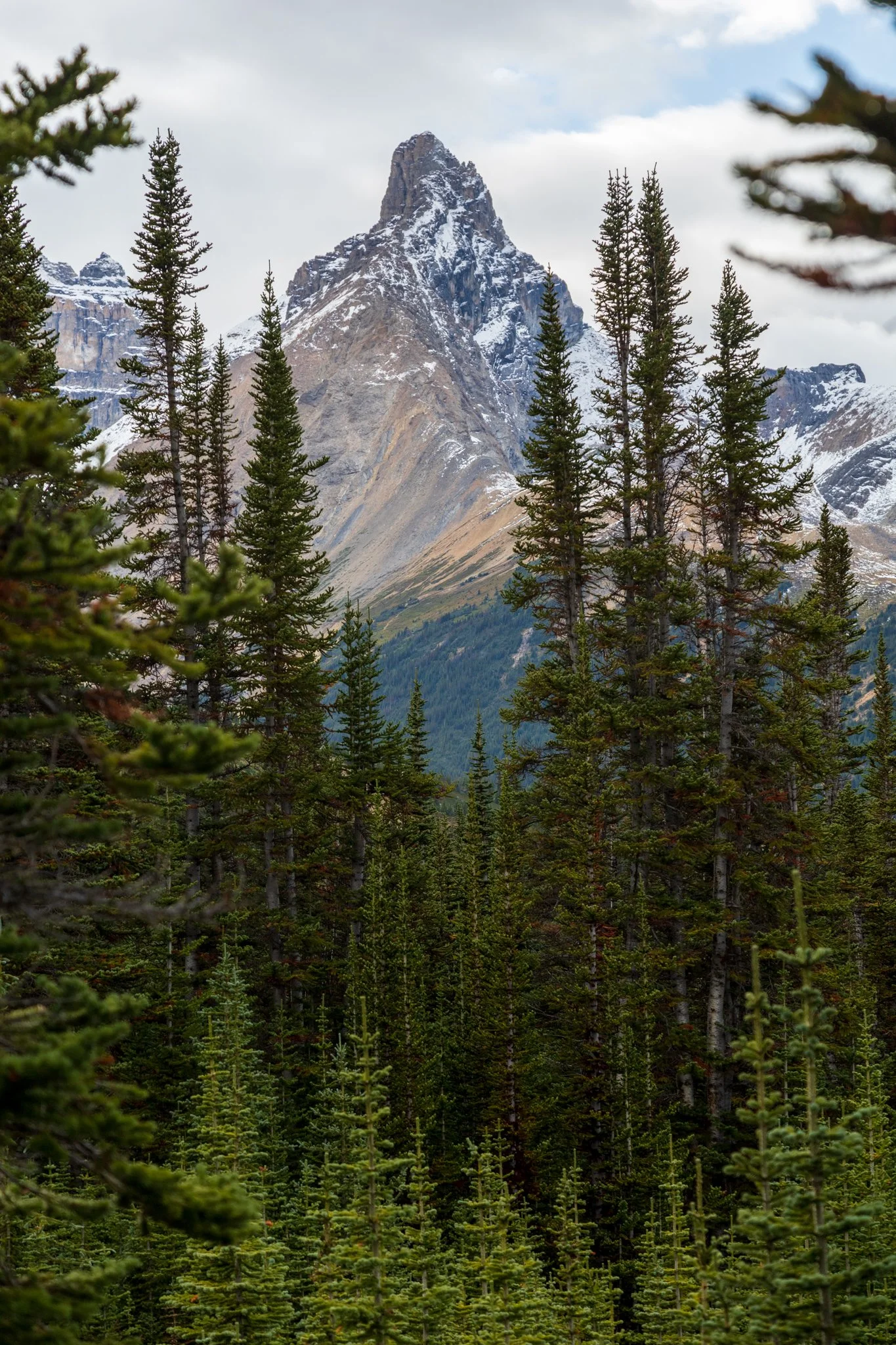 IMG_3382.jpg