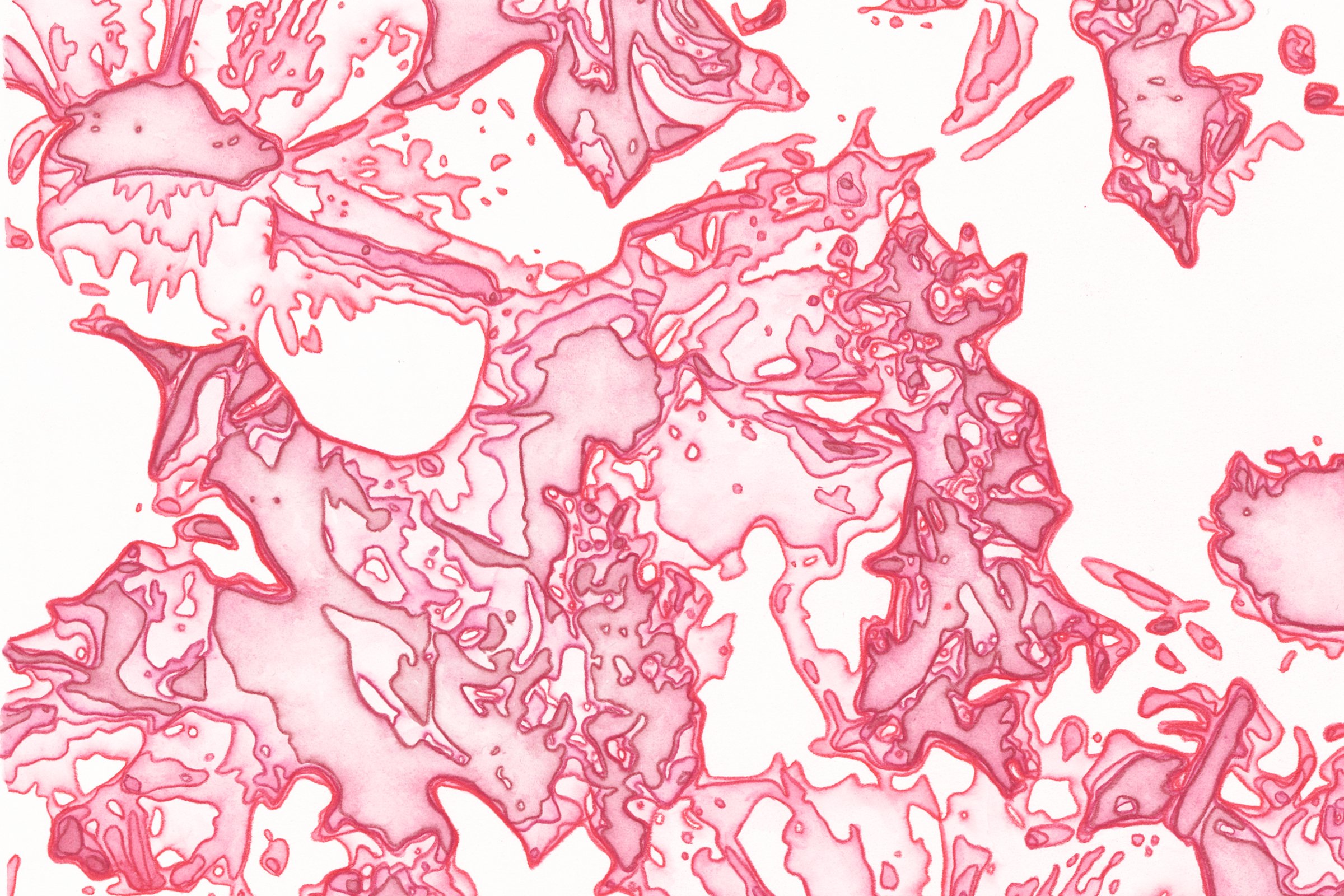 Contour Pattern Study 2 (anemone) detail view