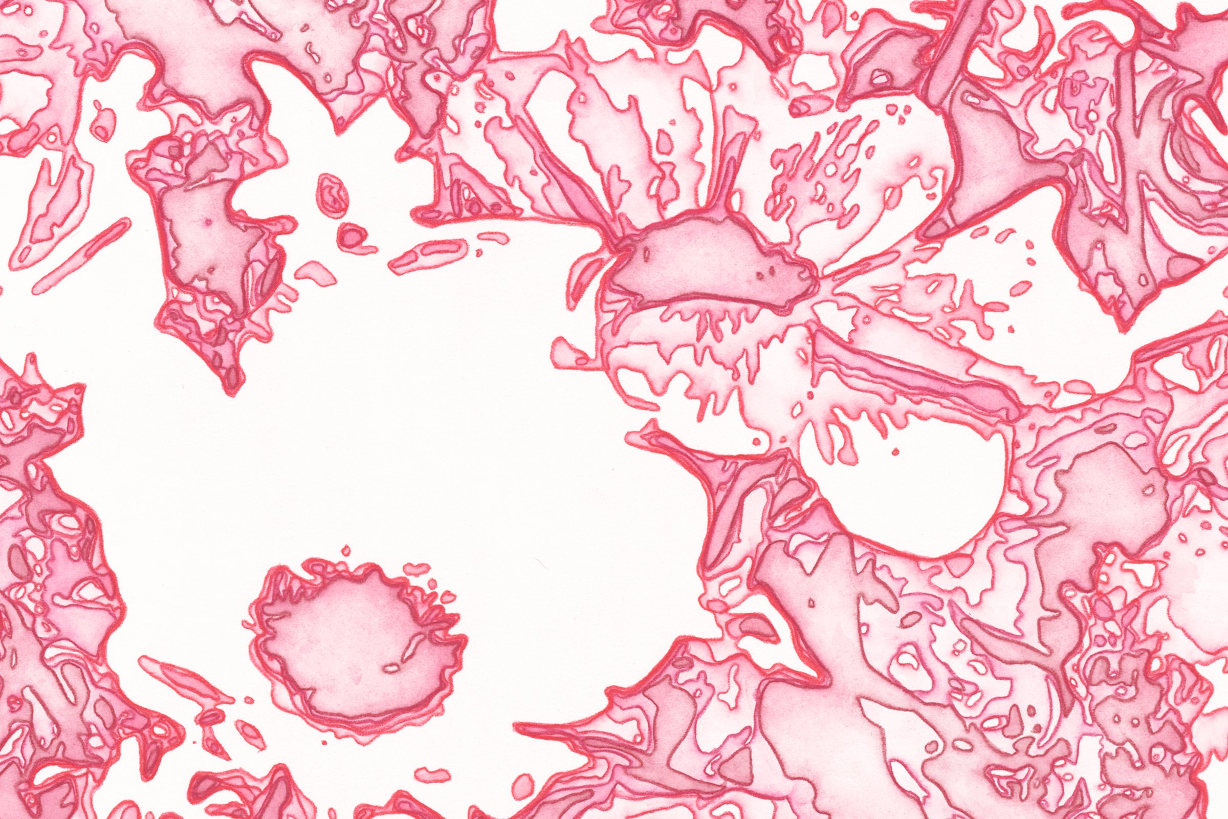 Contour Pattern Study 2 (anemone) detail view