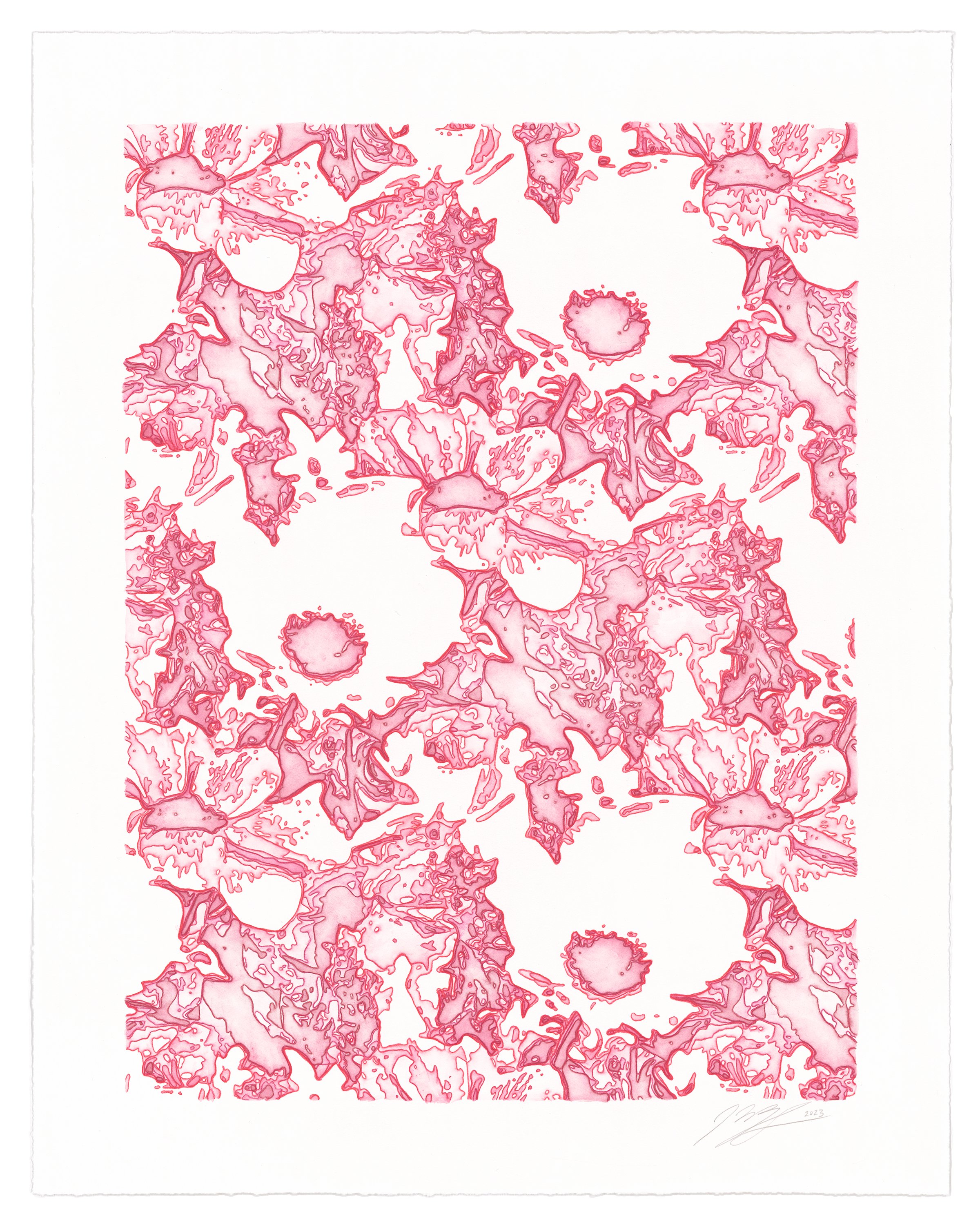 Contour Pattern Study 2 (anemone), 2023 Watercolor pencil on paper, 19 x 15 inches