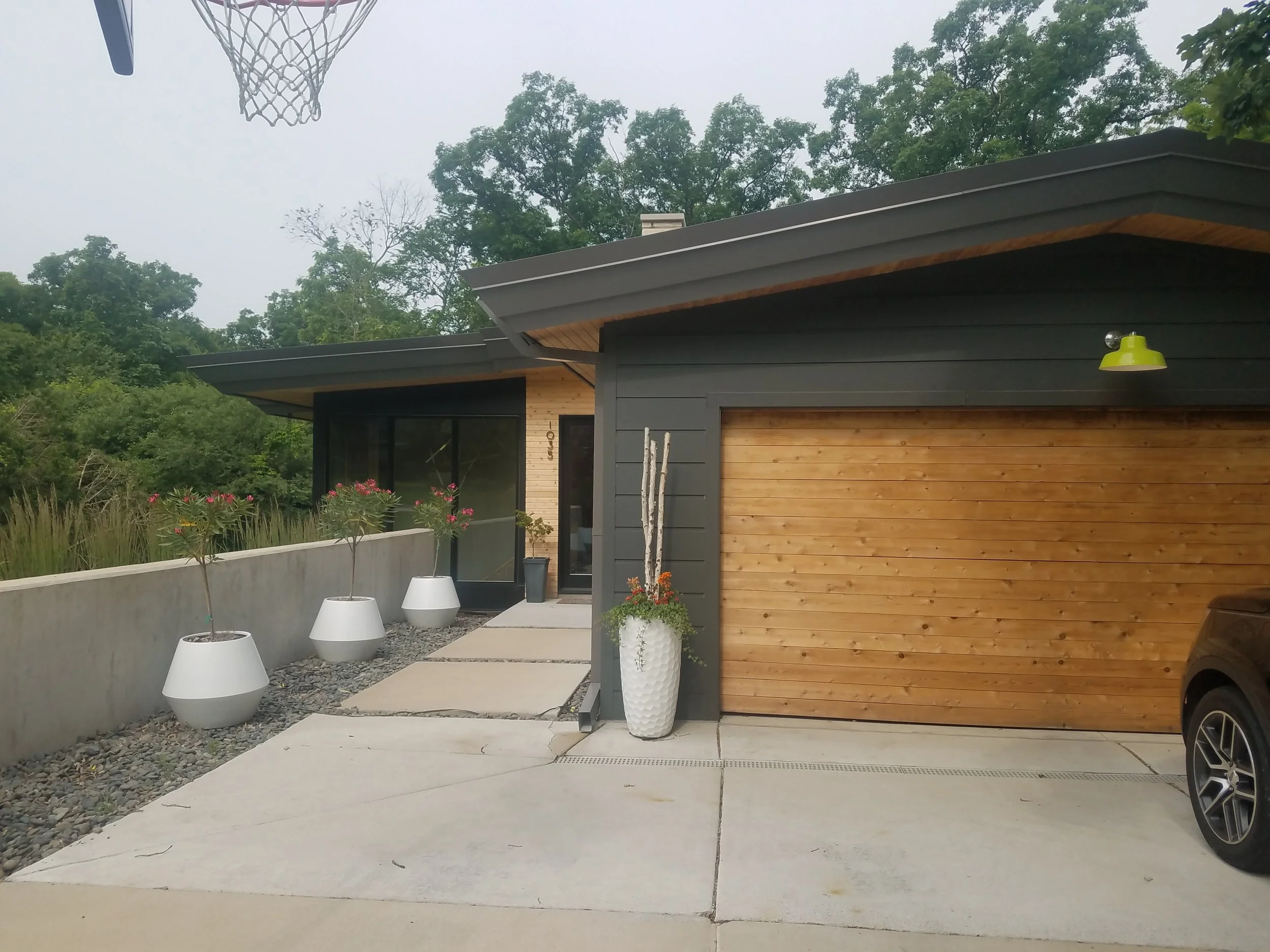 20190619-094109 (1).JPG