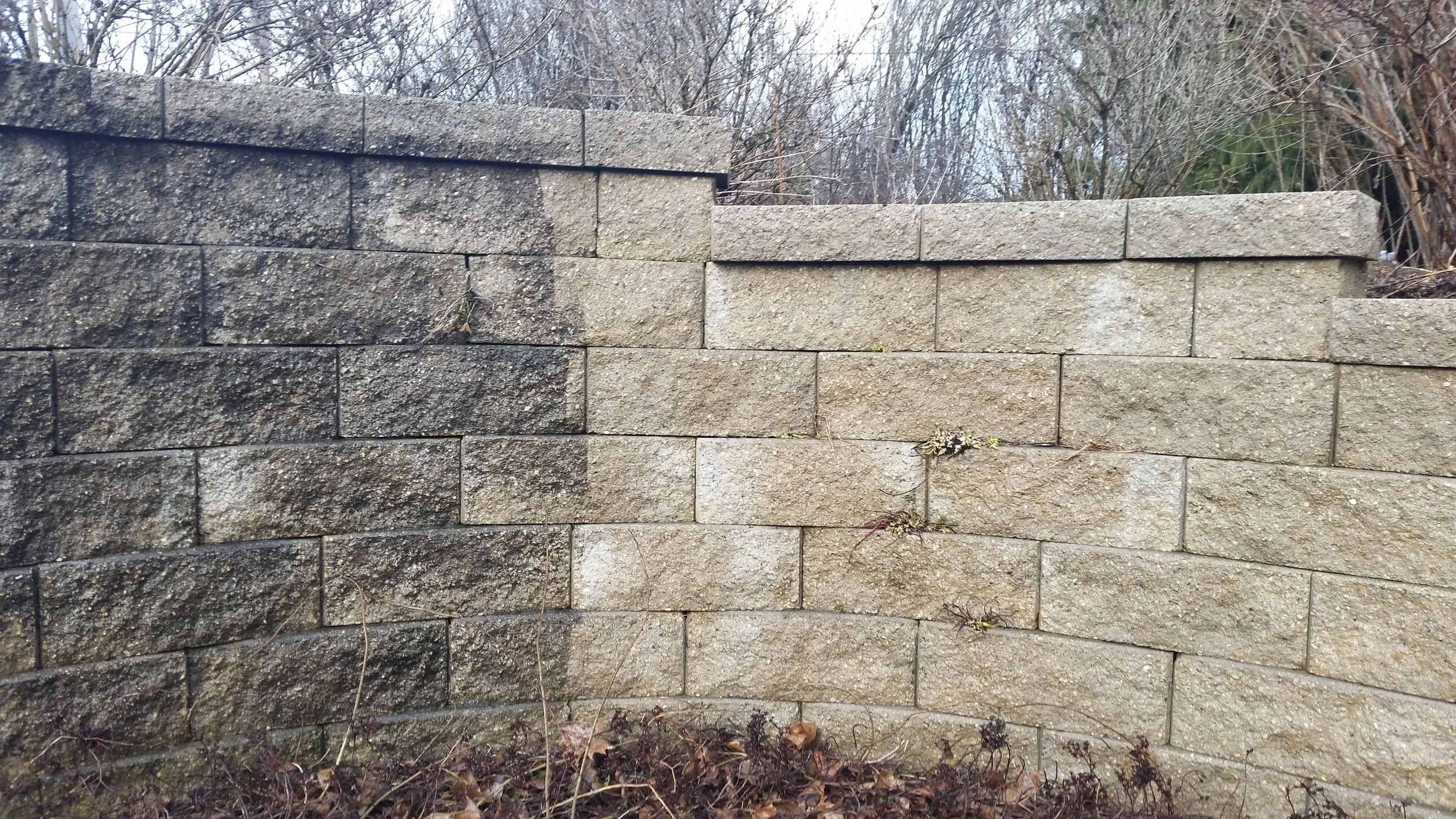 20160322-084048 (1).JPG