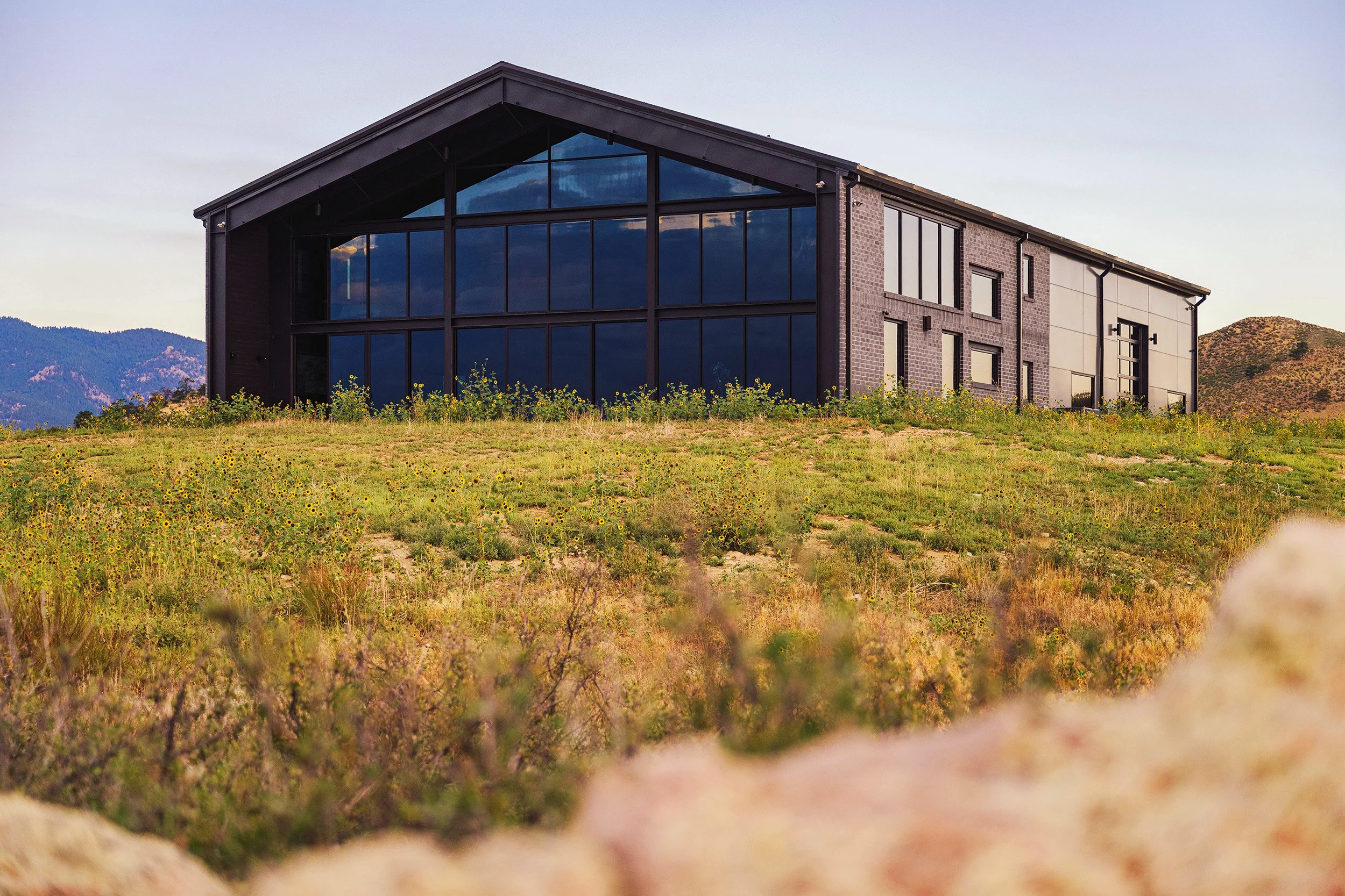 aggregate-steel-hilltop-home-prairie-wildflowers.jpg