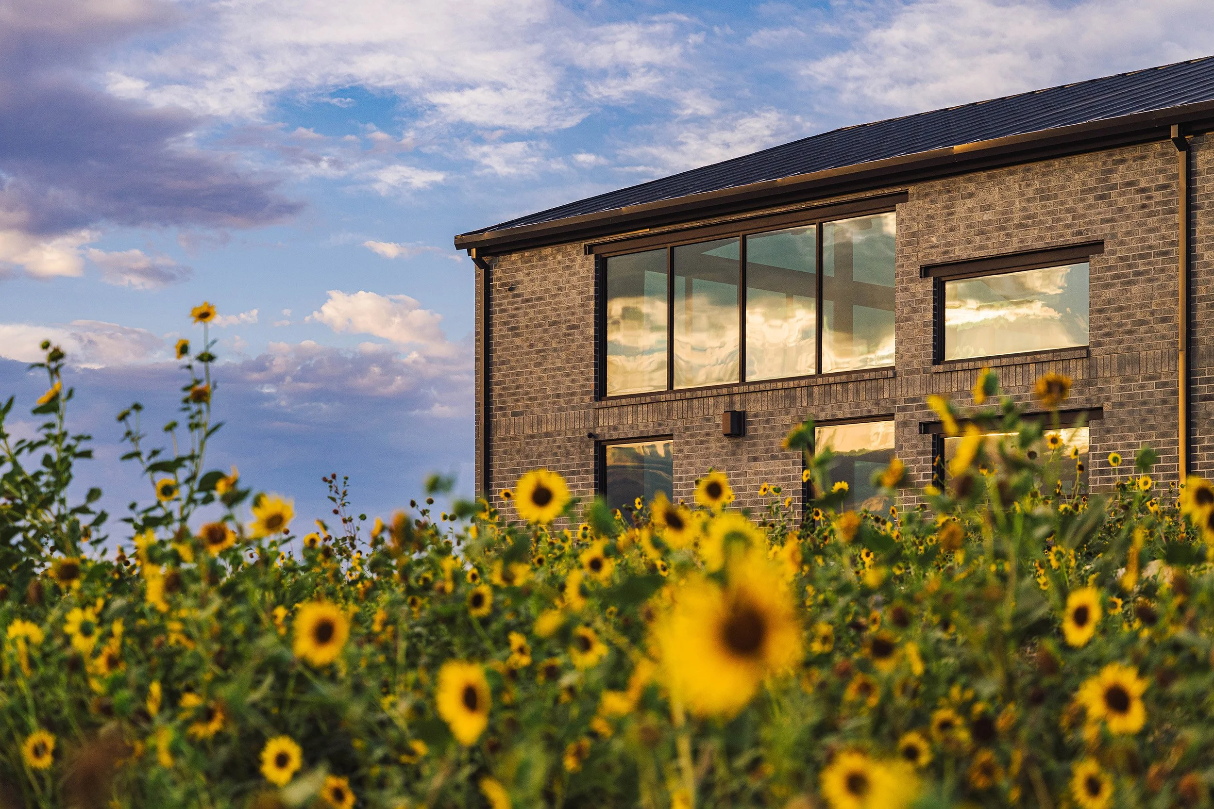 aggregate-steel-home-corner-sunflowers-sunrise.jpg