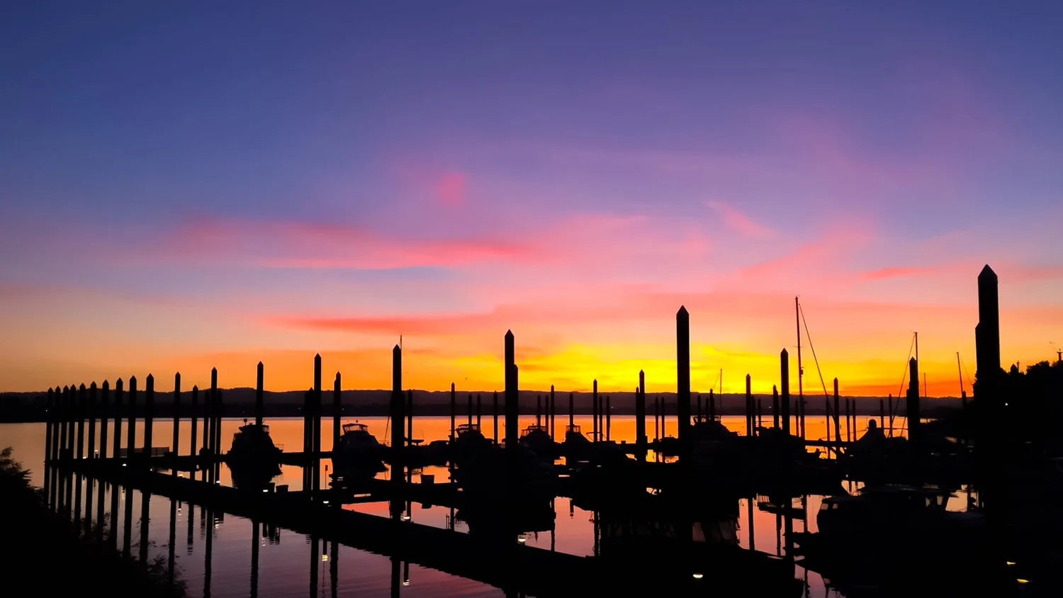 Gallery — Tidewater Cove Marina