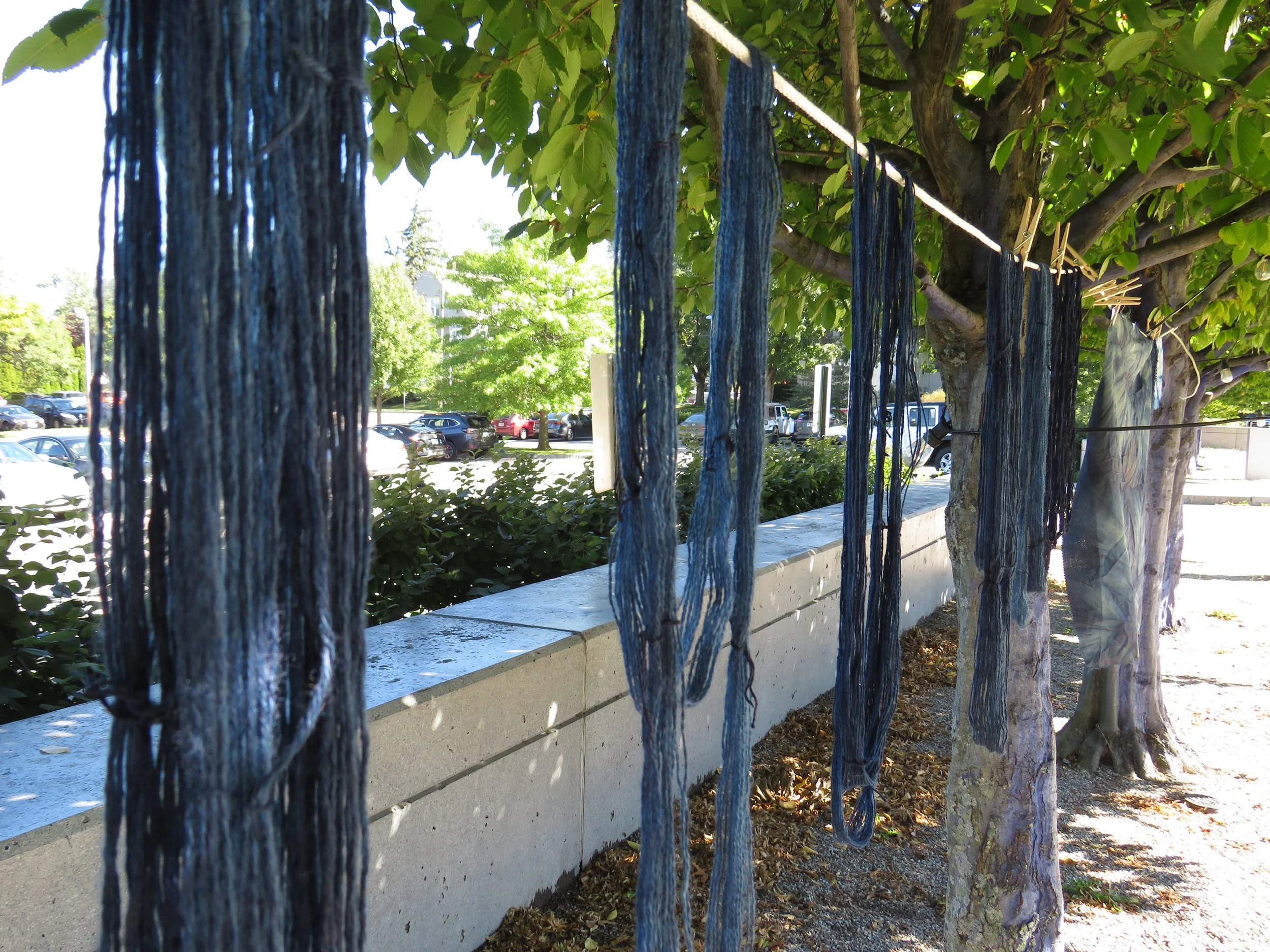 Indigo_9-25 (18).JPG