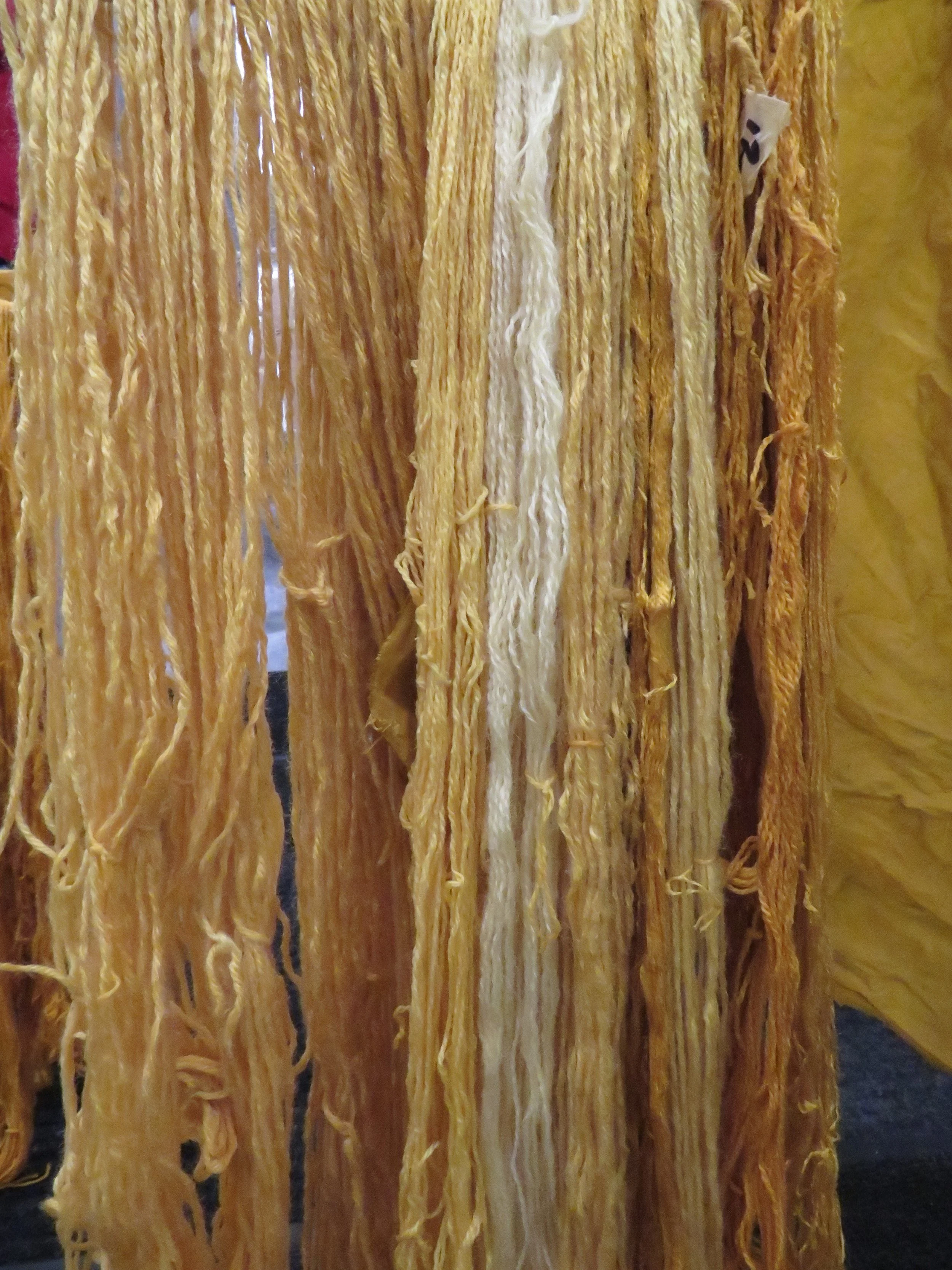 Marigold_9-30 (31).JPG