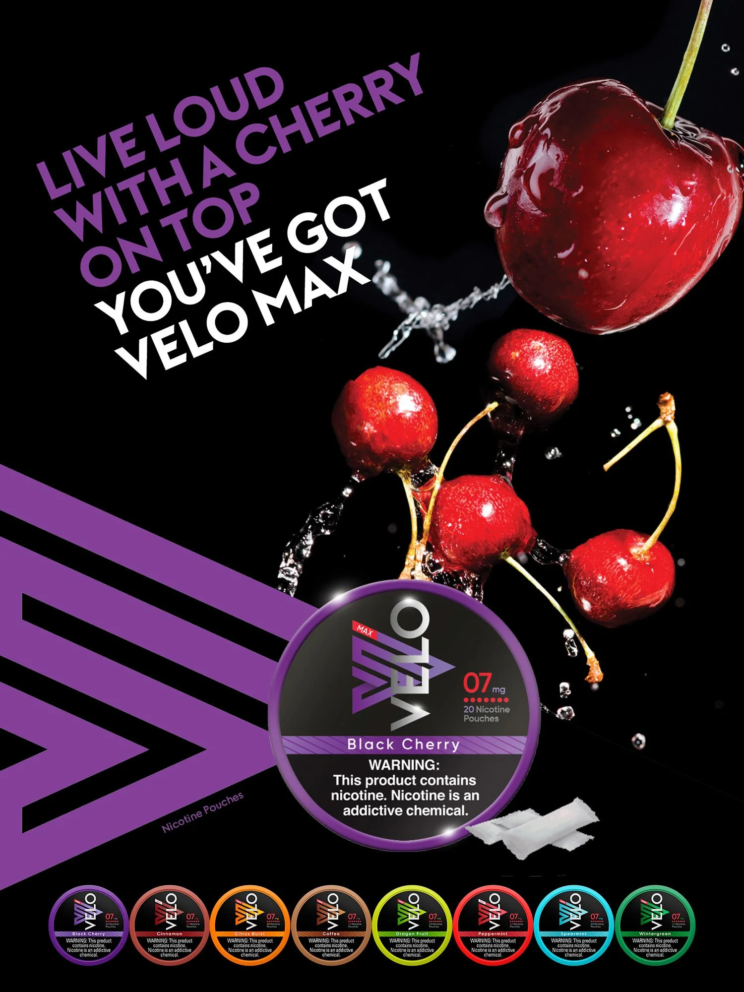 Peter-Donnelly-Creative-Director-Brand-Identity-Reynolds-Velo-Max-Poster-3.jpg