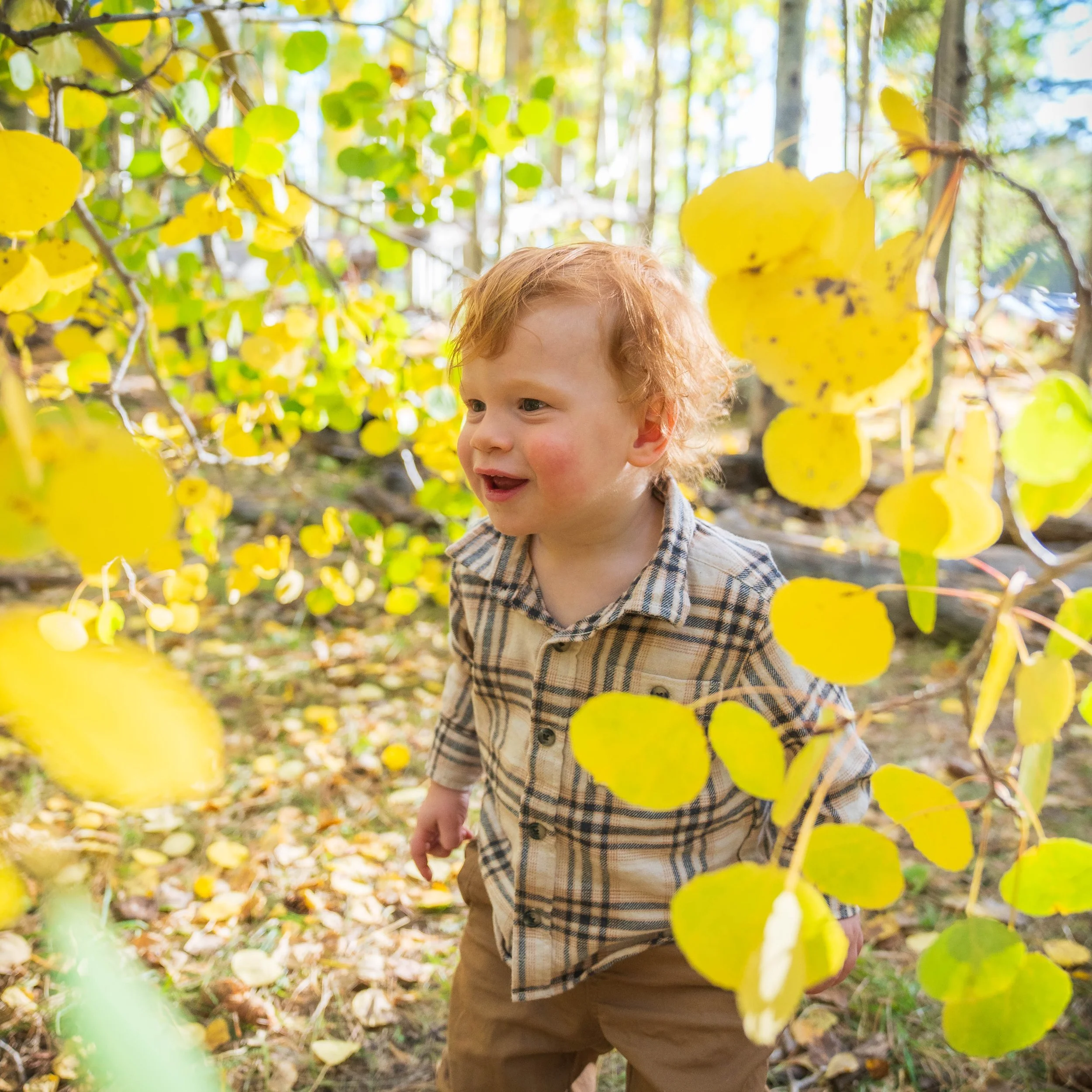 A young boy with red hair, wearing a plaid shirt, exploring a wooded area with yellow autumn leaves.