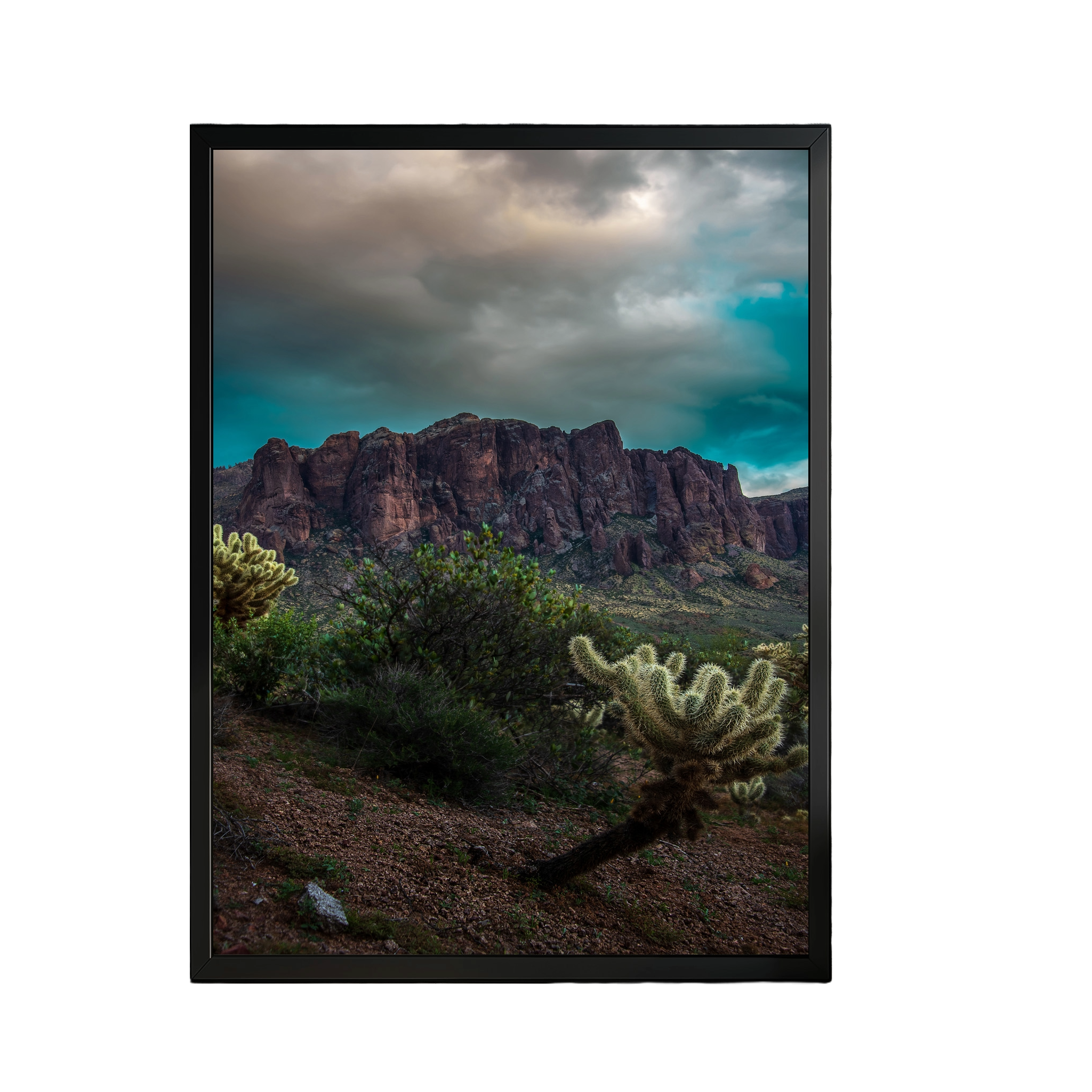 Spring I - Lost Dutchman State Park