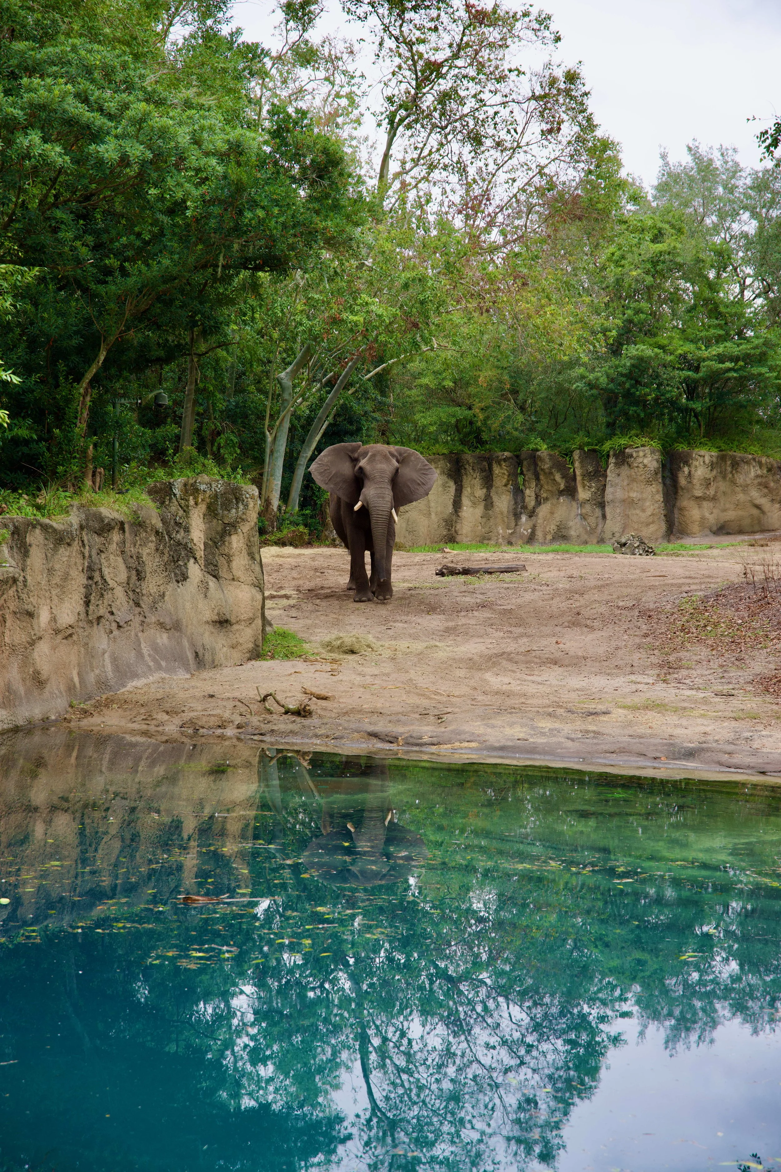 disney2024 - 95_compressed.jpg