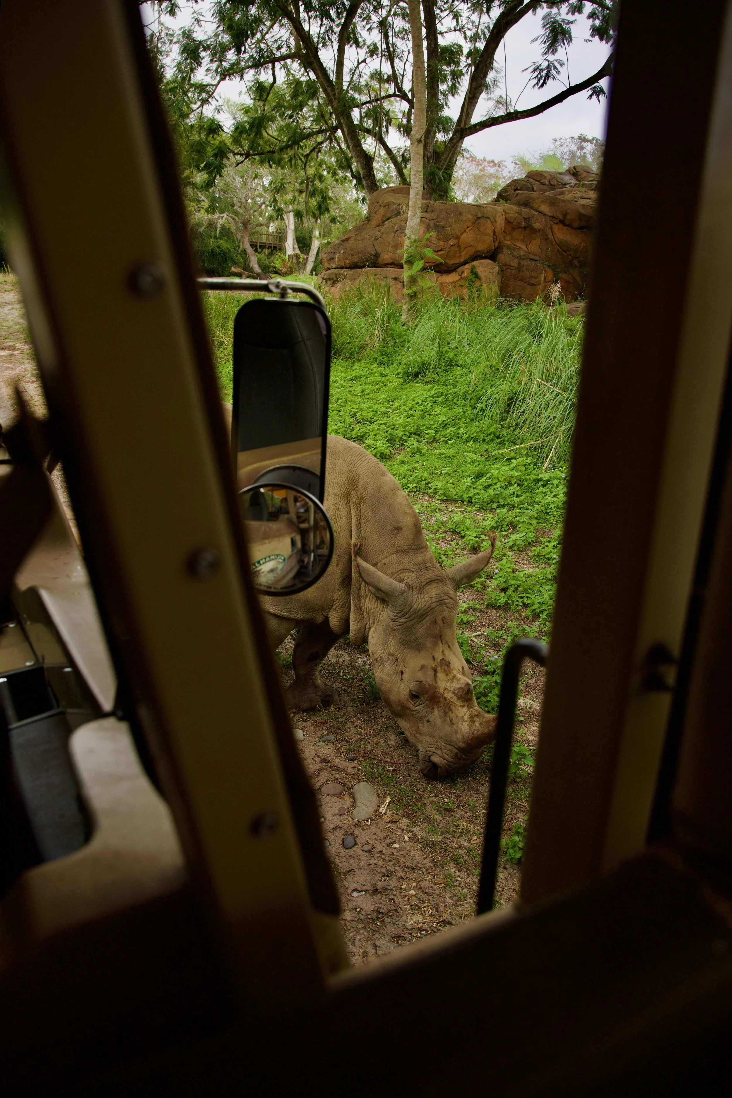 disney2024 - 112_compressed.jpg