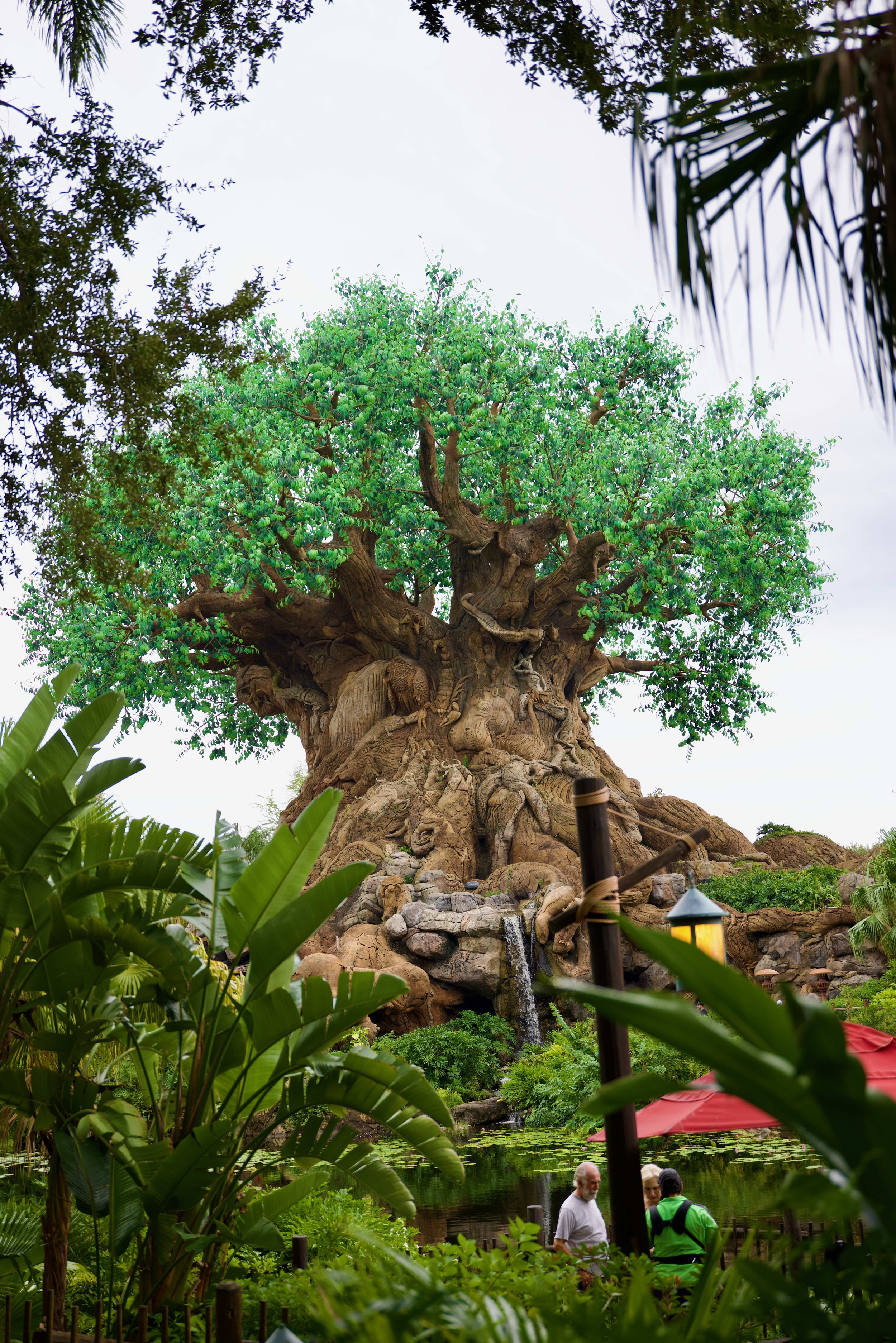 disney2024 - 121_compressed.jpg