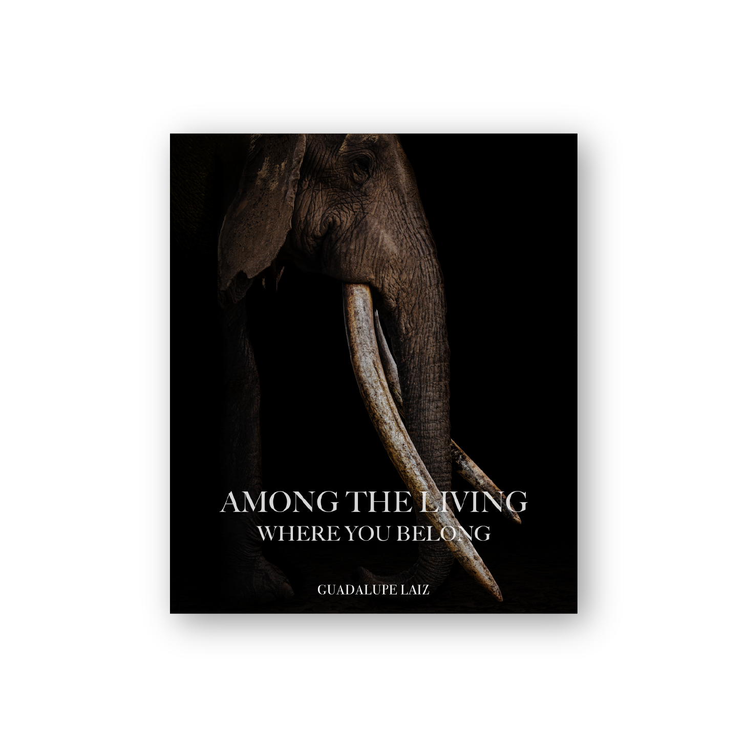 AMONG THE LIVING