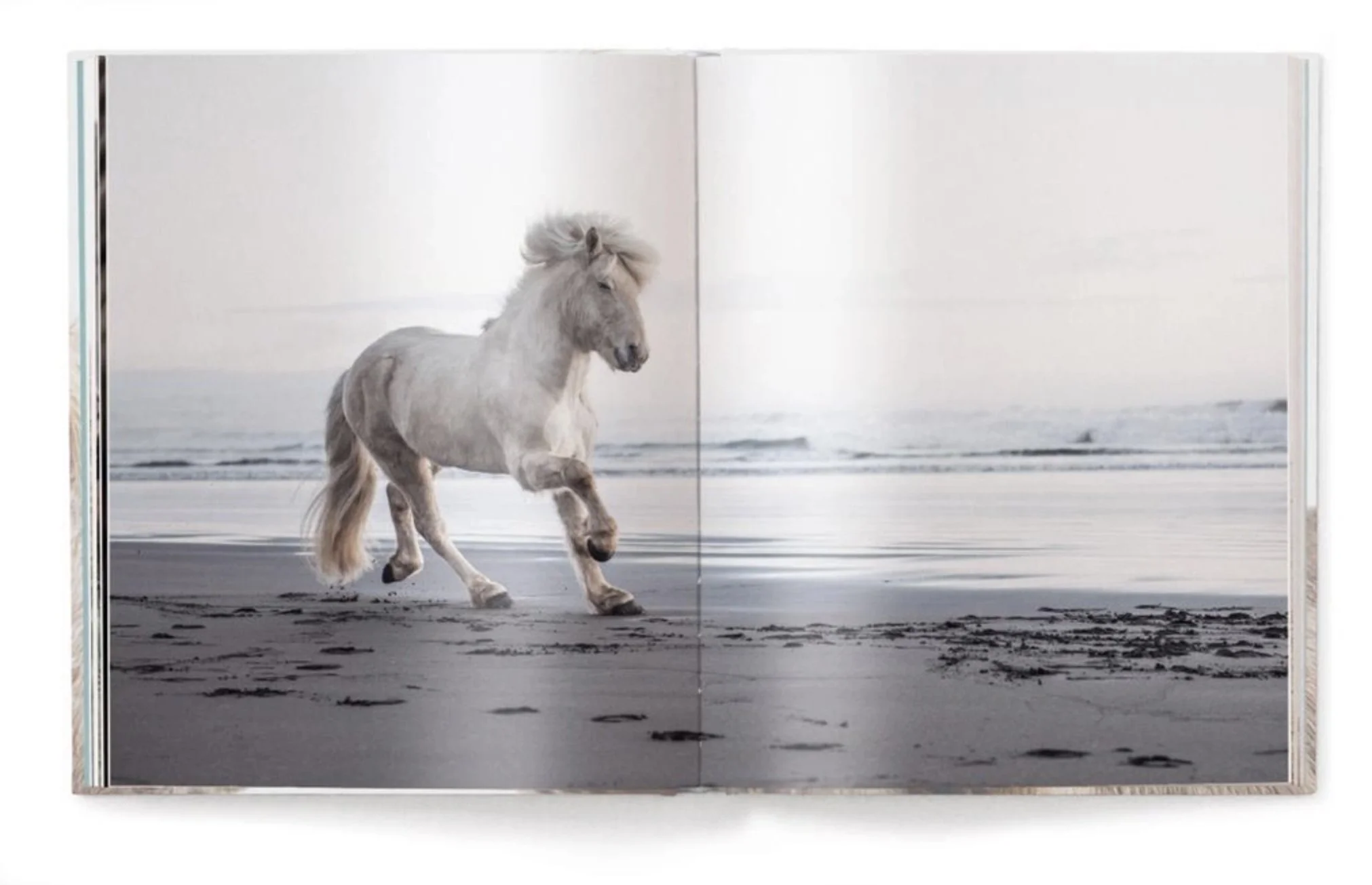 Horses of Iceland book III.jpg