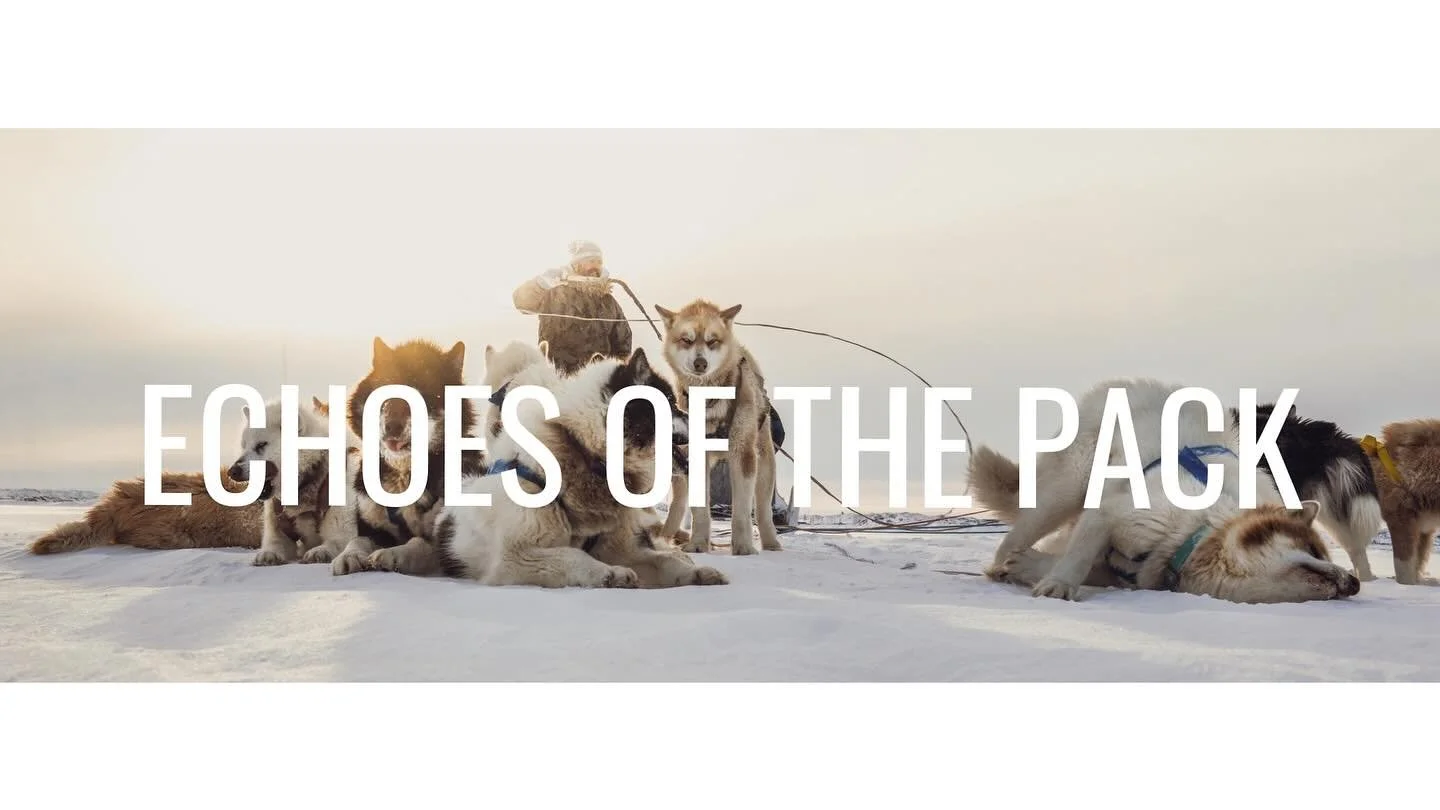 &ldquo;Echoes of the Pack&rdquo; &mdash; Coming Soon Across the Arctic, working dogs endure lives as stark as the land beneath their paws. Some know the weight of a gentle hand, their strength returned with care. Others remain tethered in silence, we